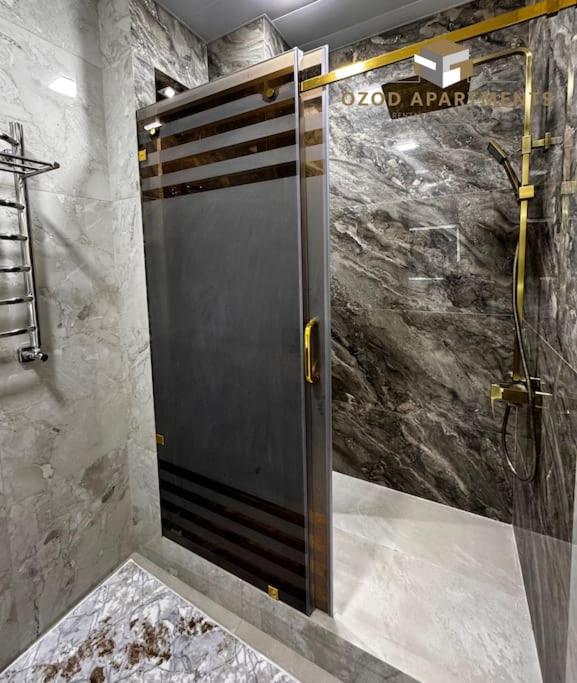 Premium 3- roomed apartment near REGISTAN view 5