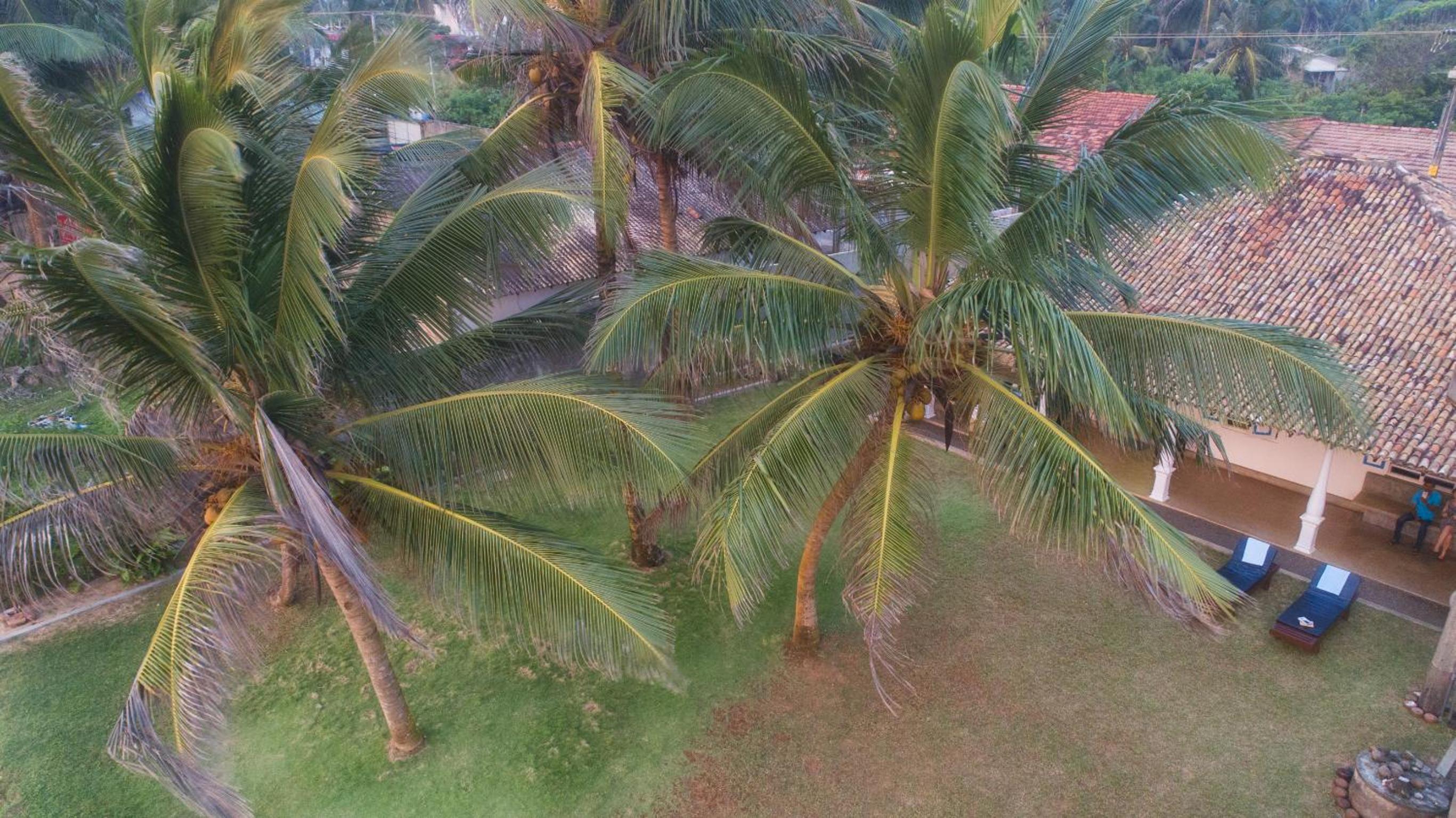 Sinhala Beach Villa