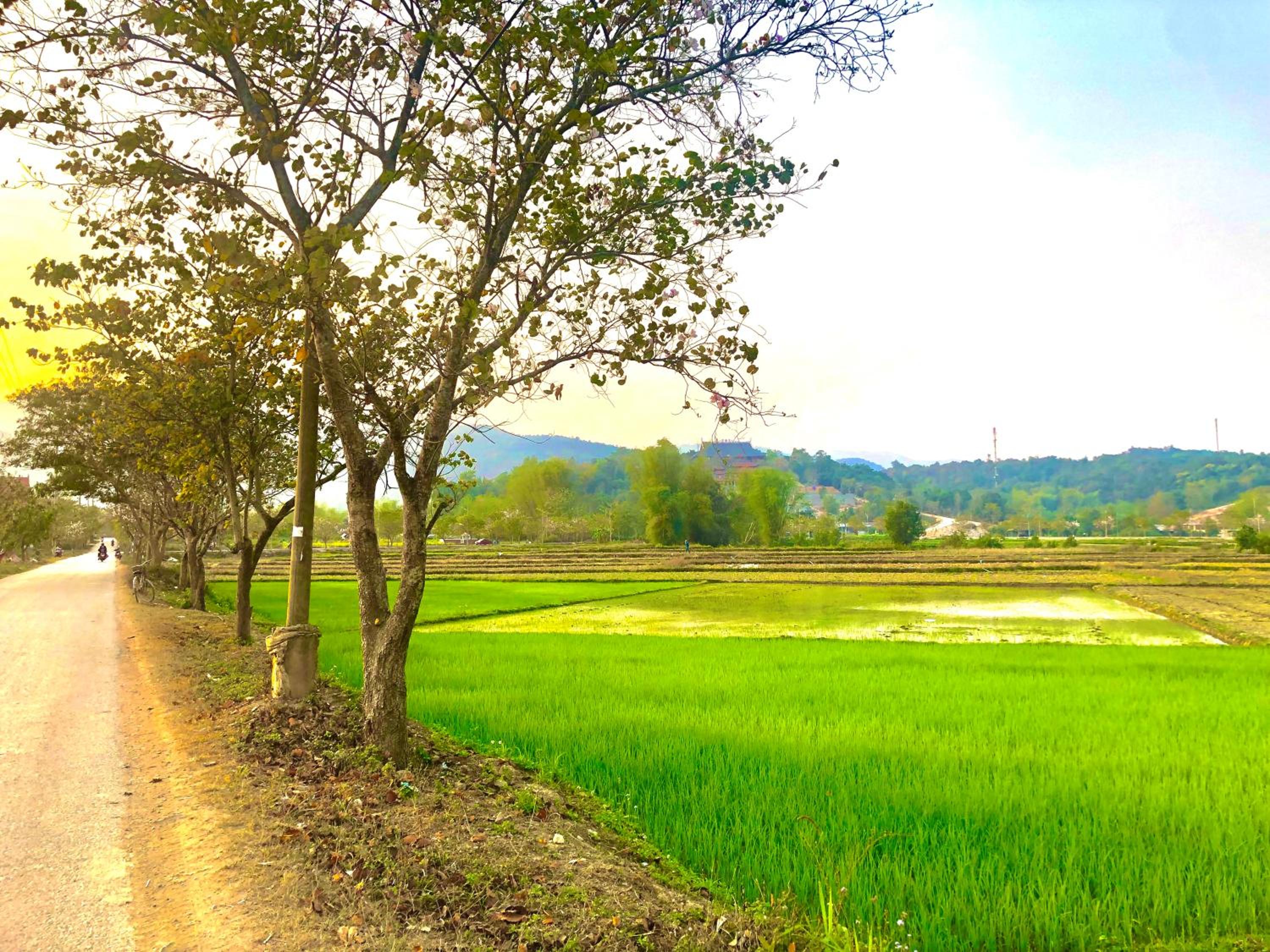 Nhà nghỉ Tâm Cường view 3
