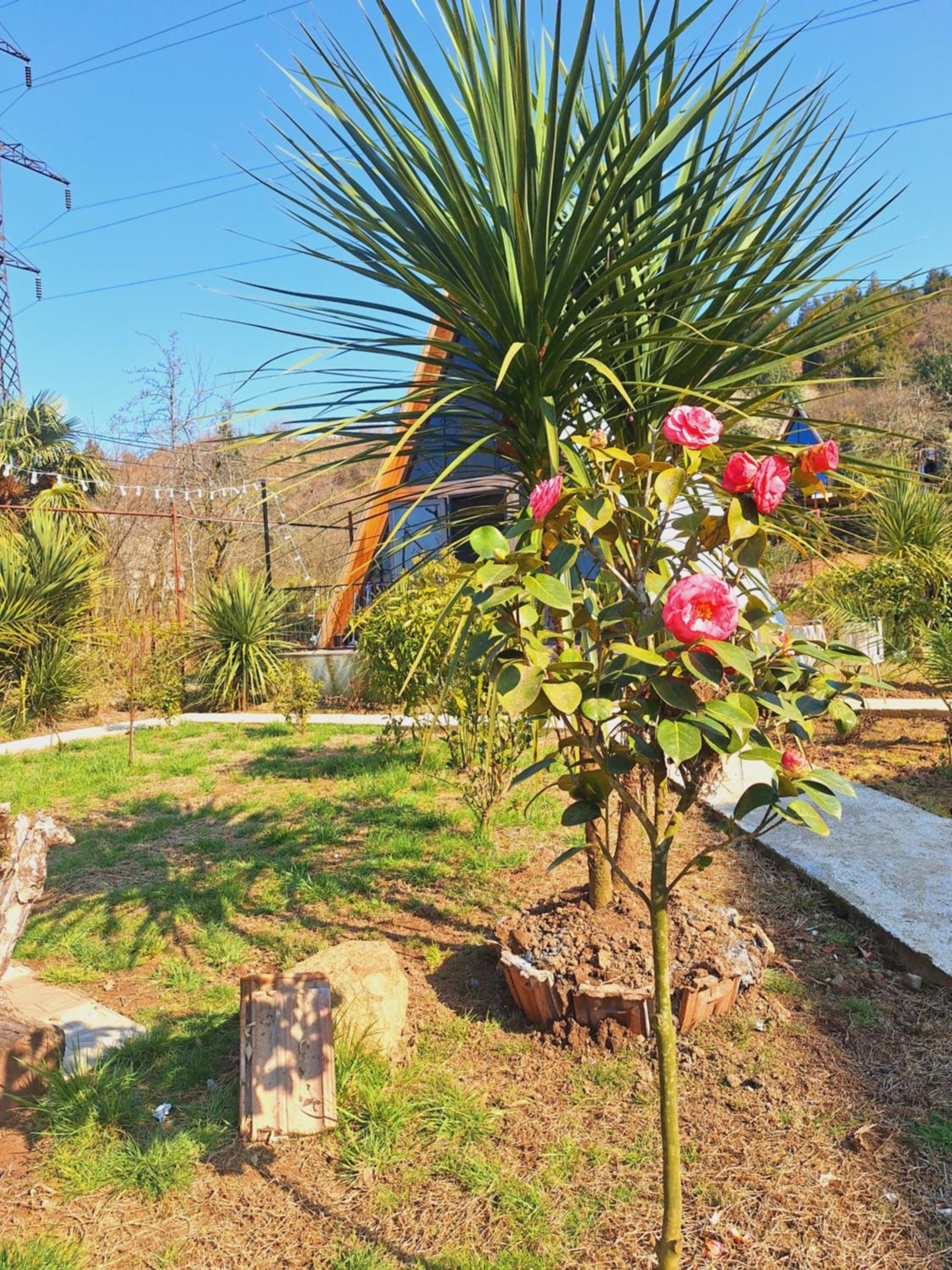 Paradise cottage