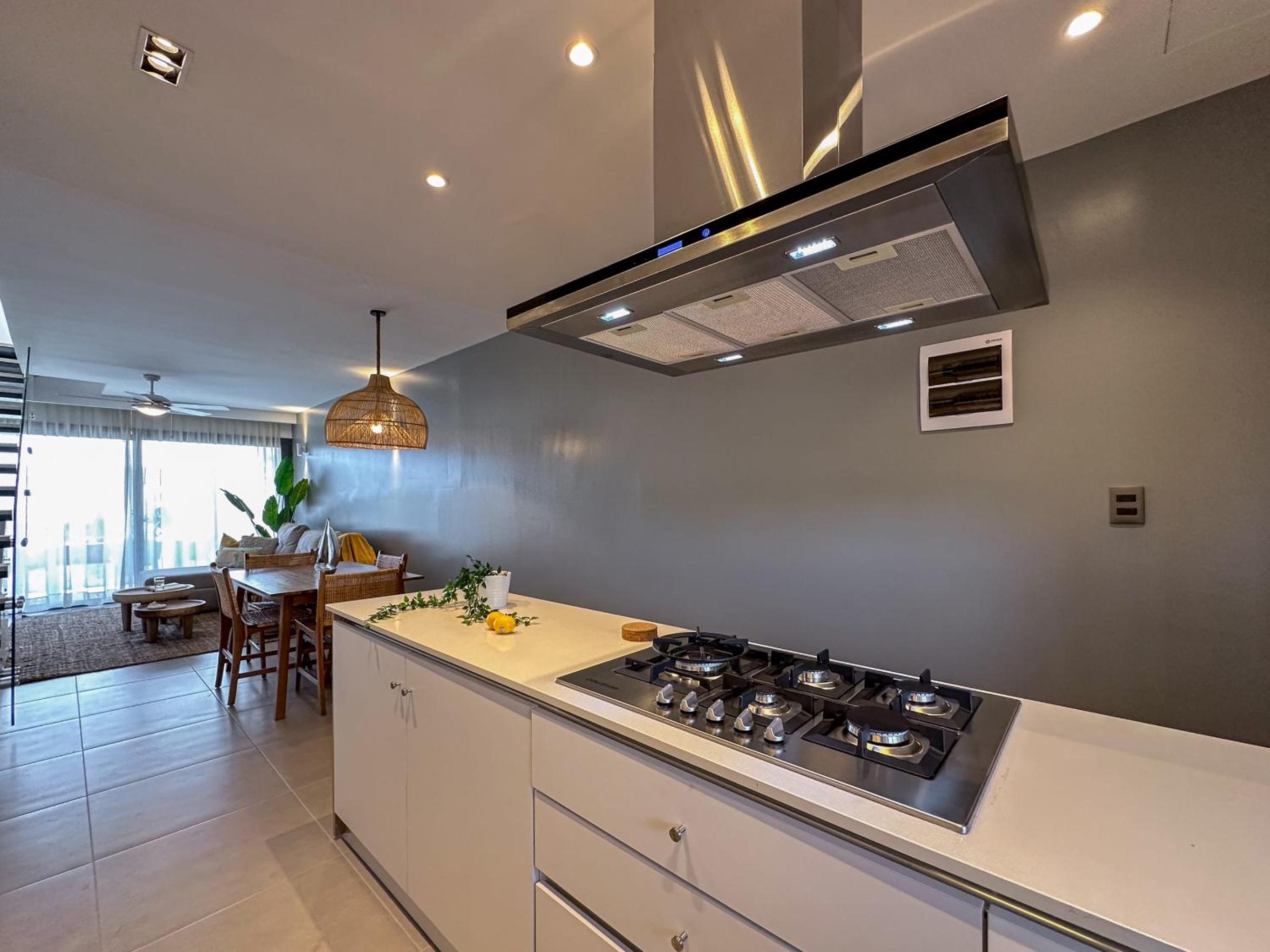 Fantastic new Penthouse w Rooftop Picuzzi