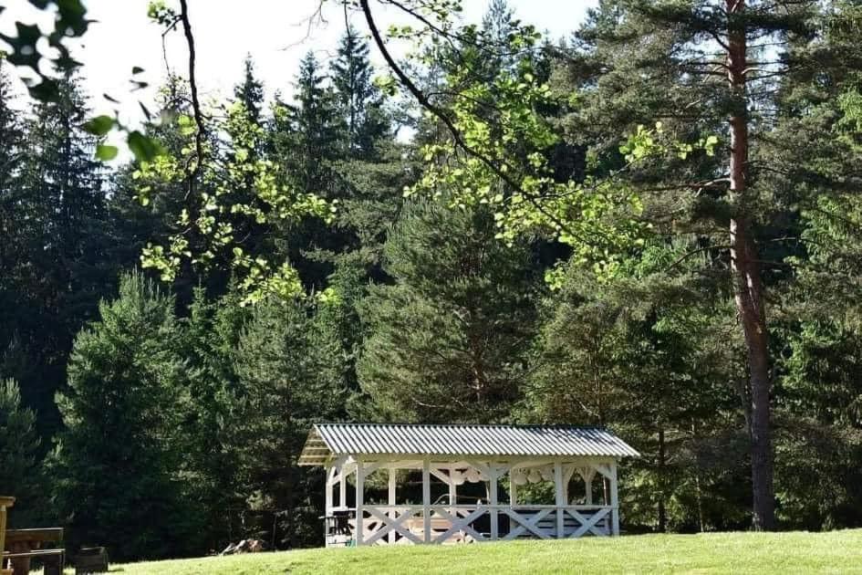 Miškas Arjola