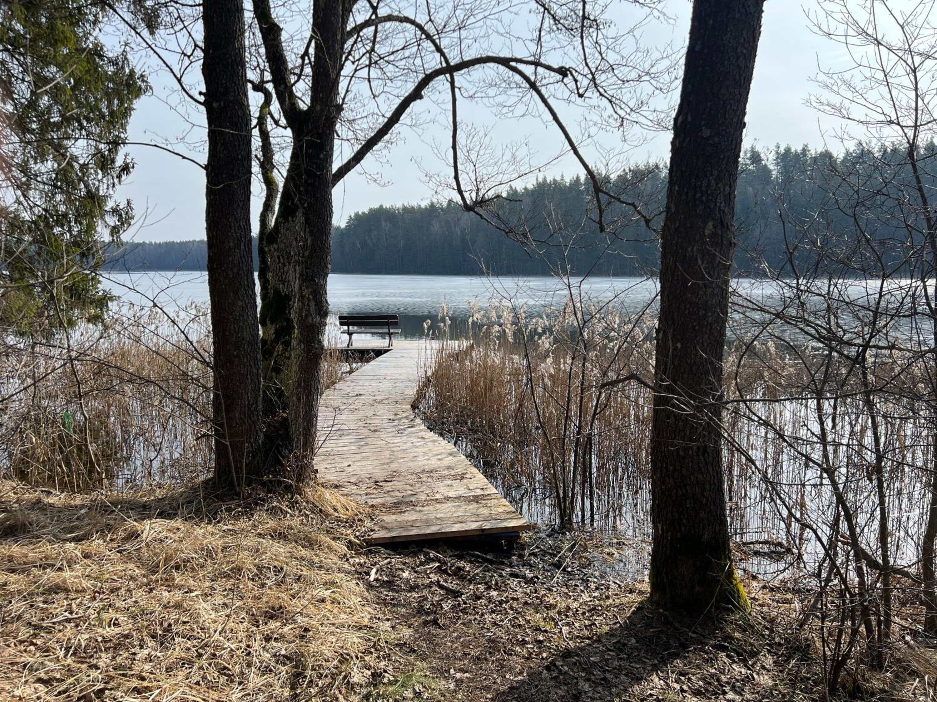 Miškas Arjola