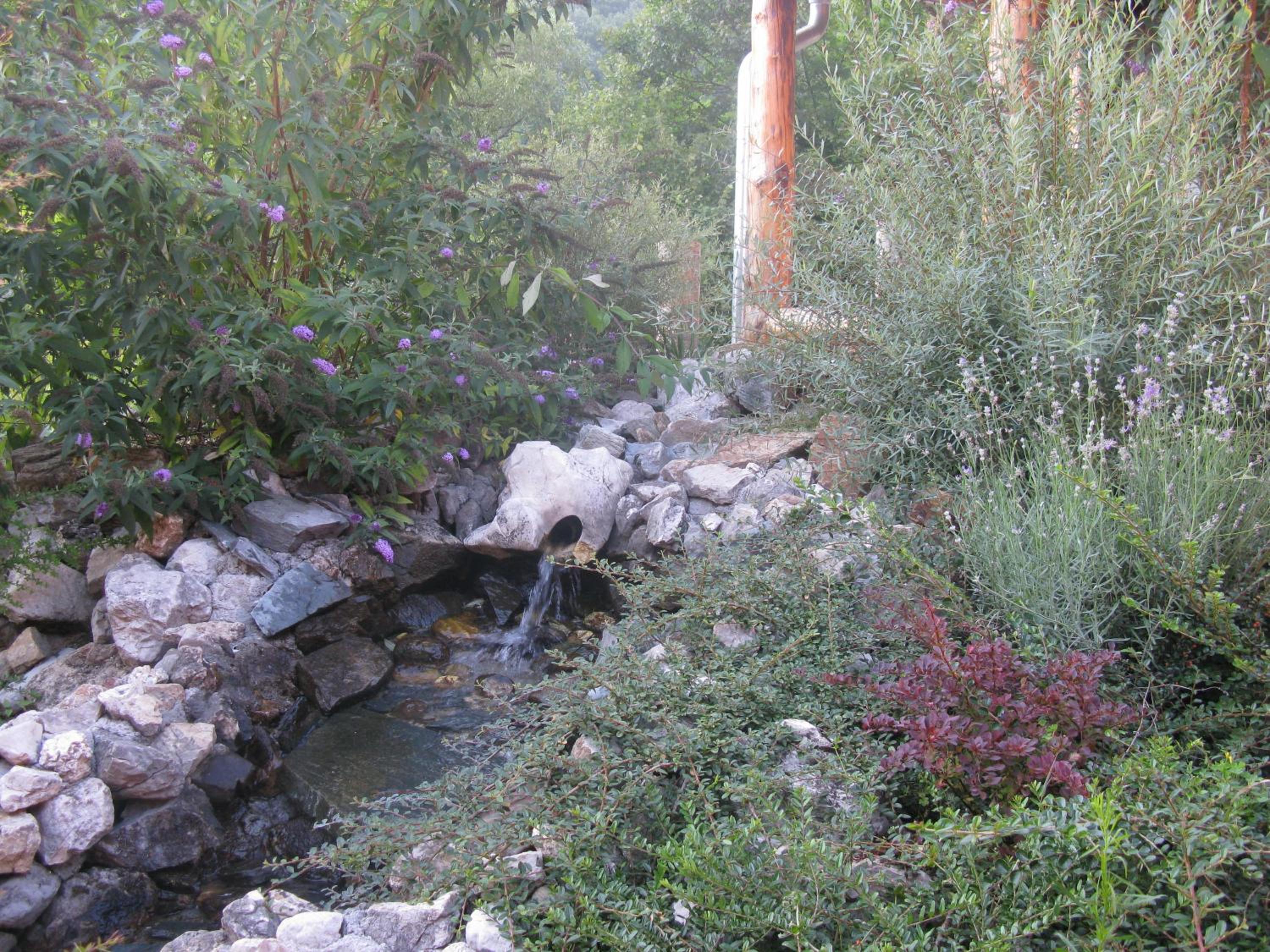 Photo 30