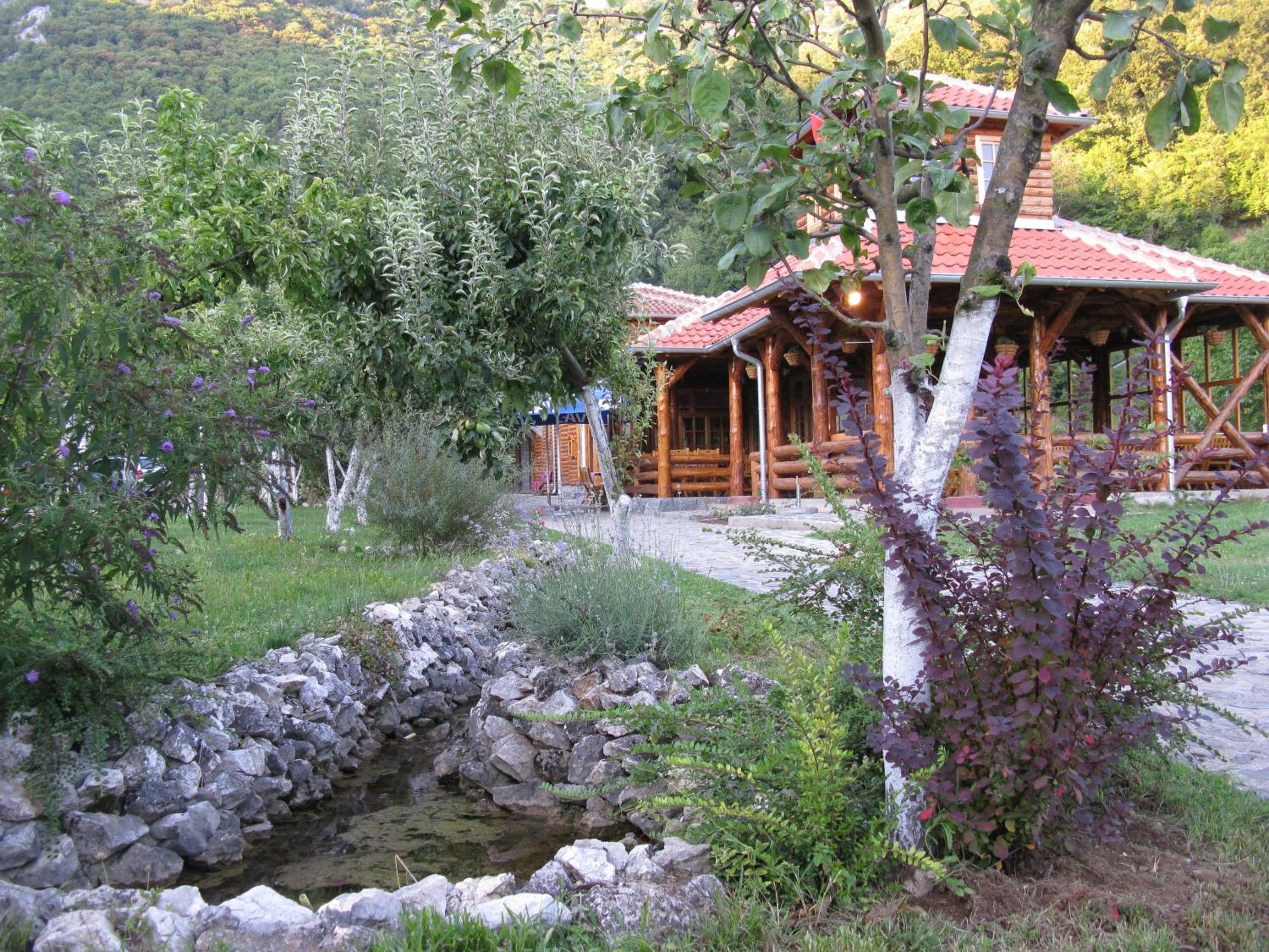 Photo 26