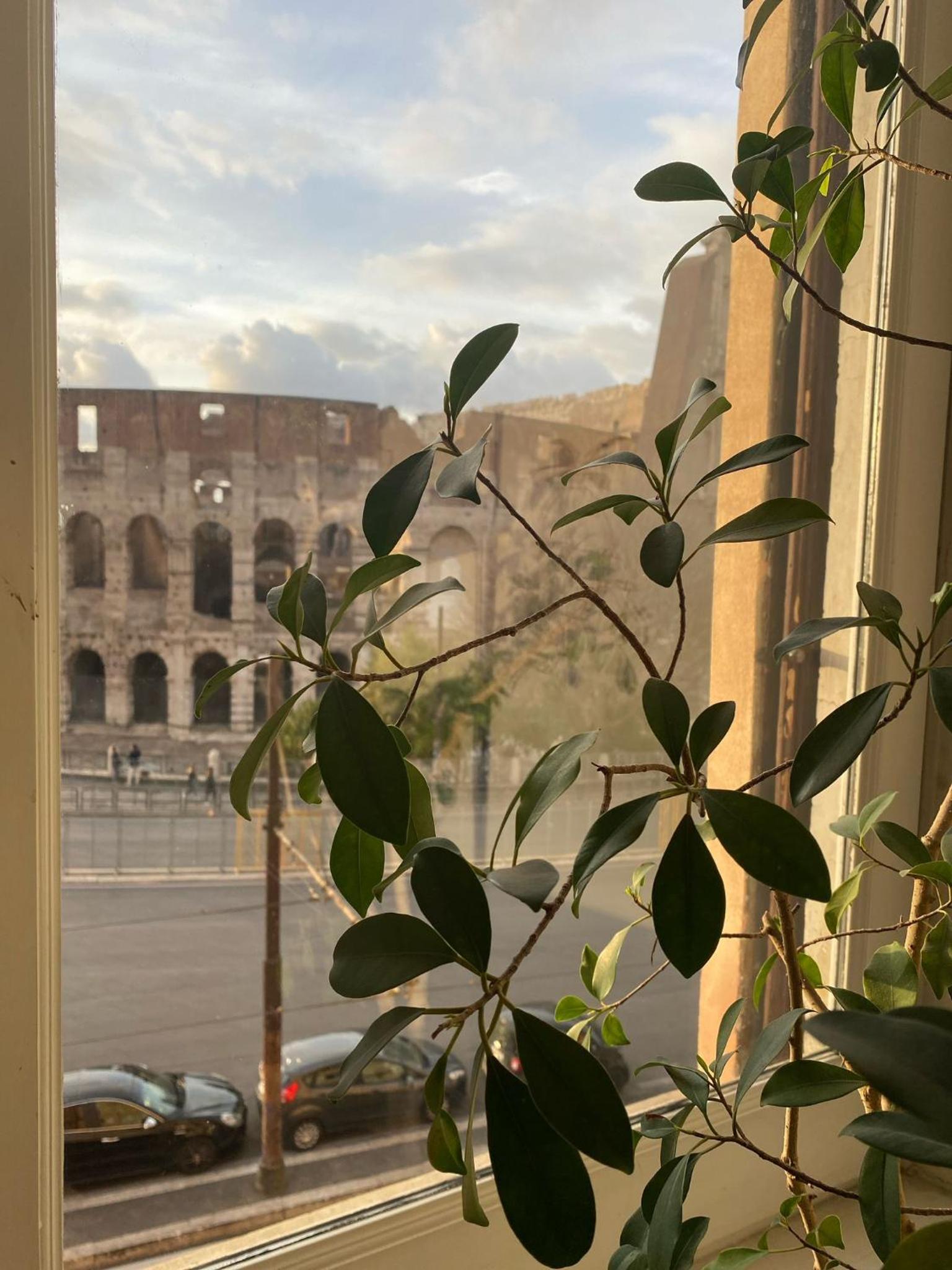 Colosseum Luxury Apartment