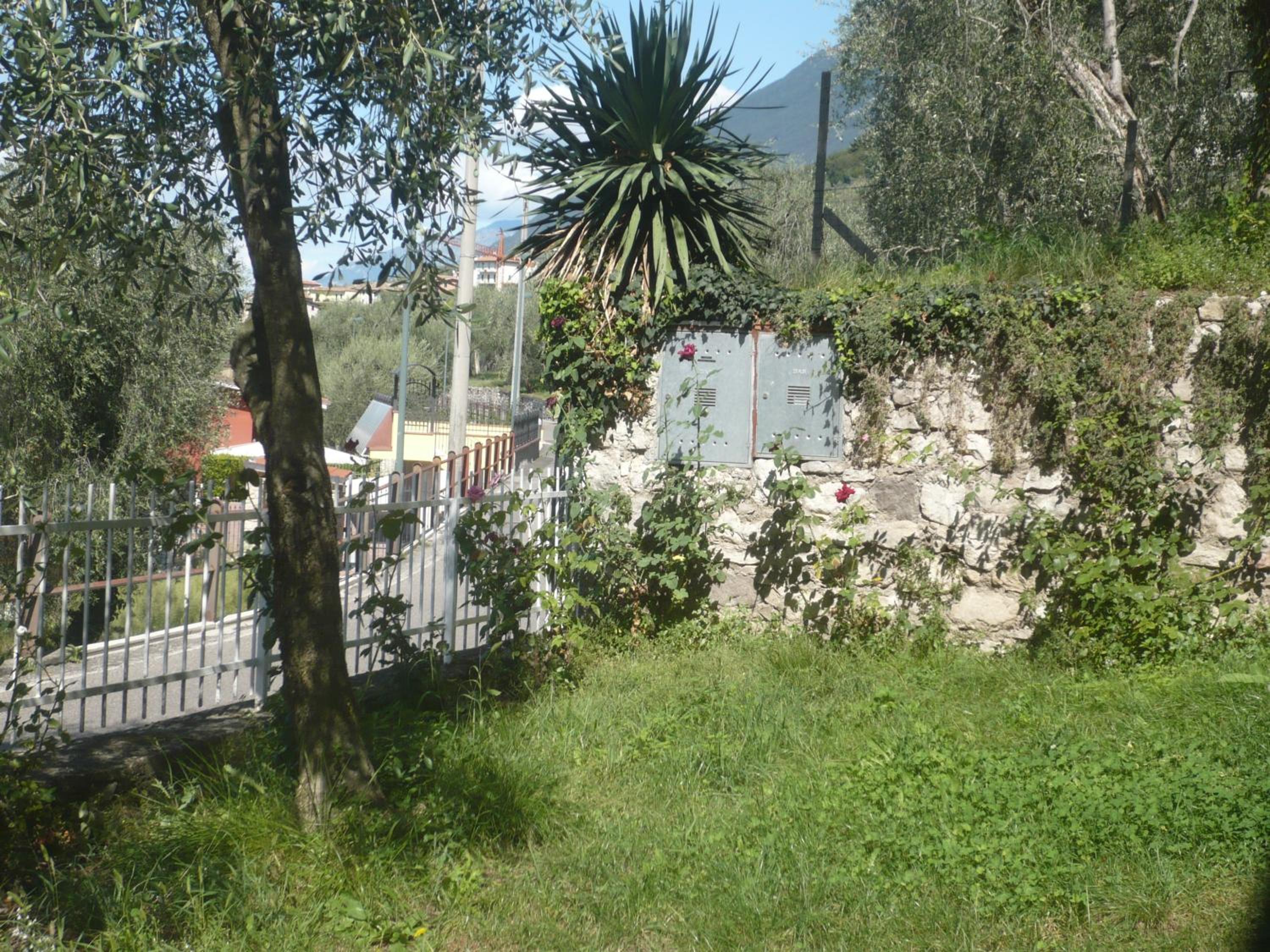 Photo 29