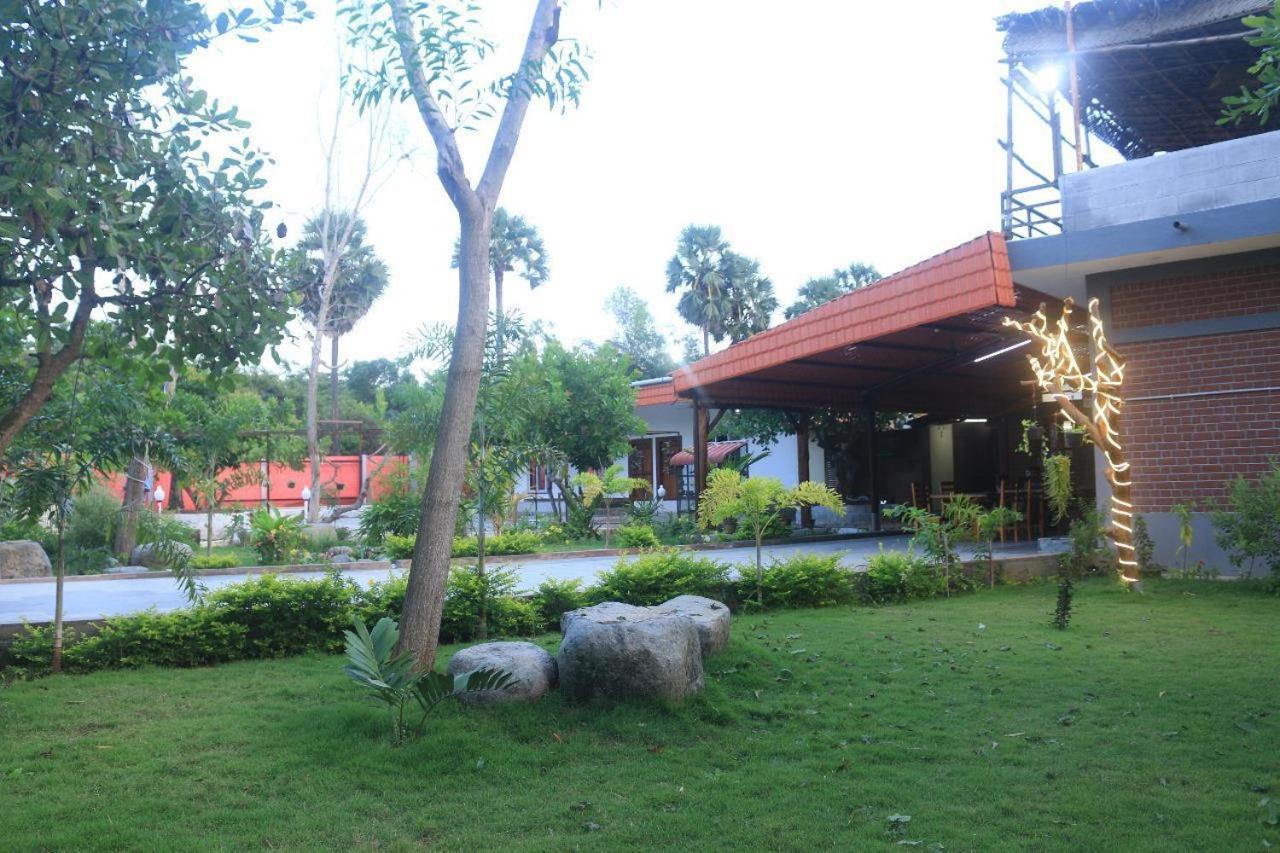 Photo 11