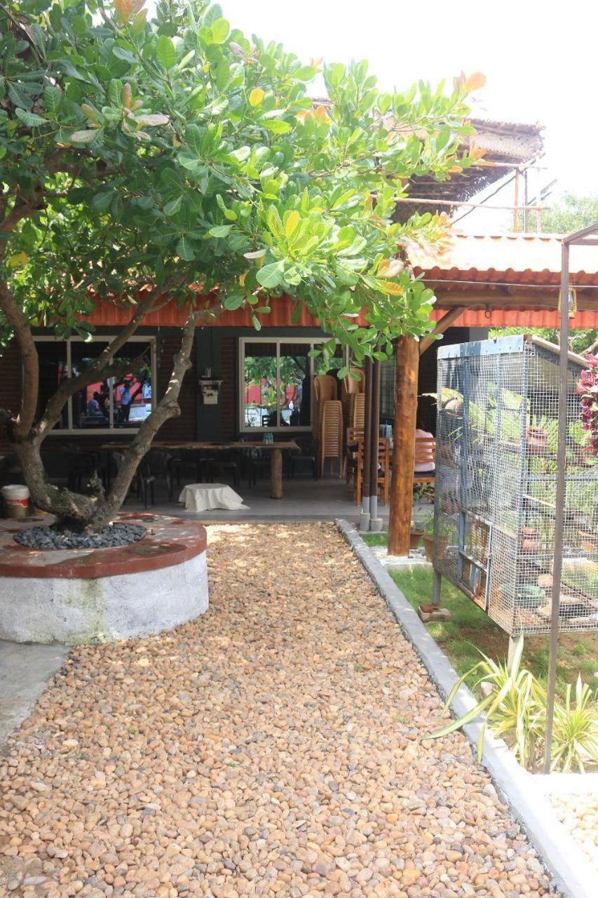 Photo 14