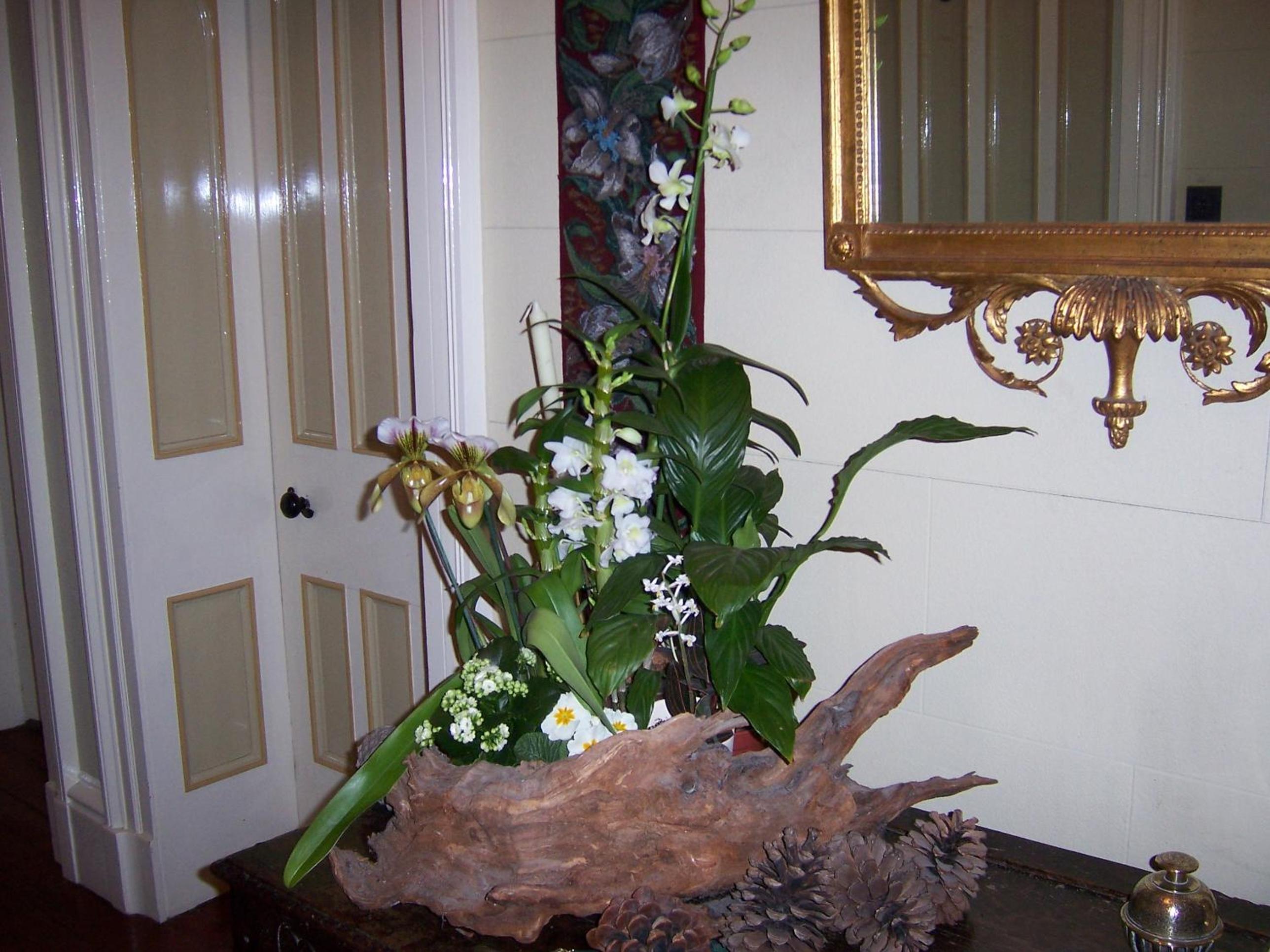 Photo 25