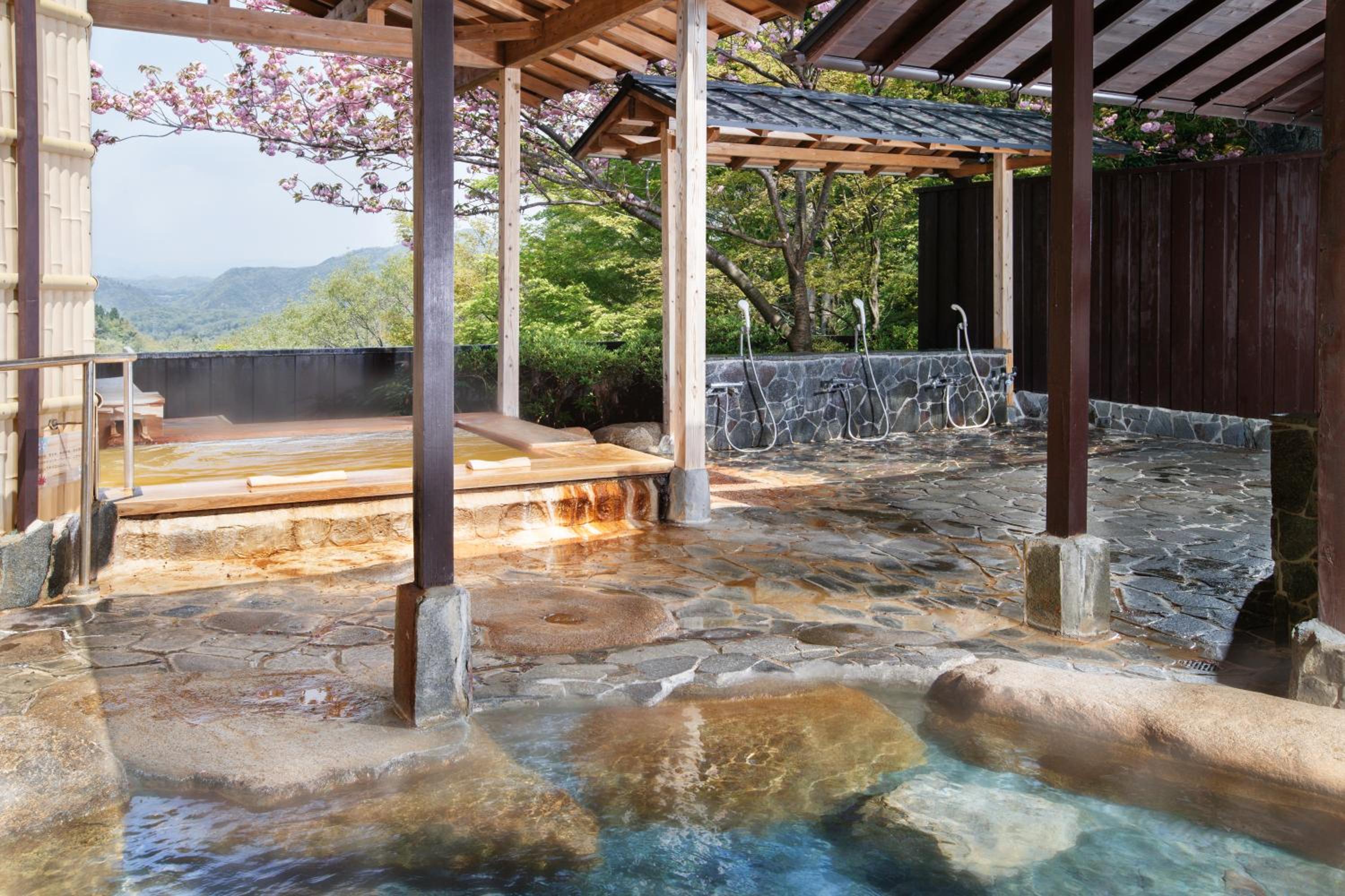 Arima Onsen Motoyu Ryuusenkaku