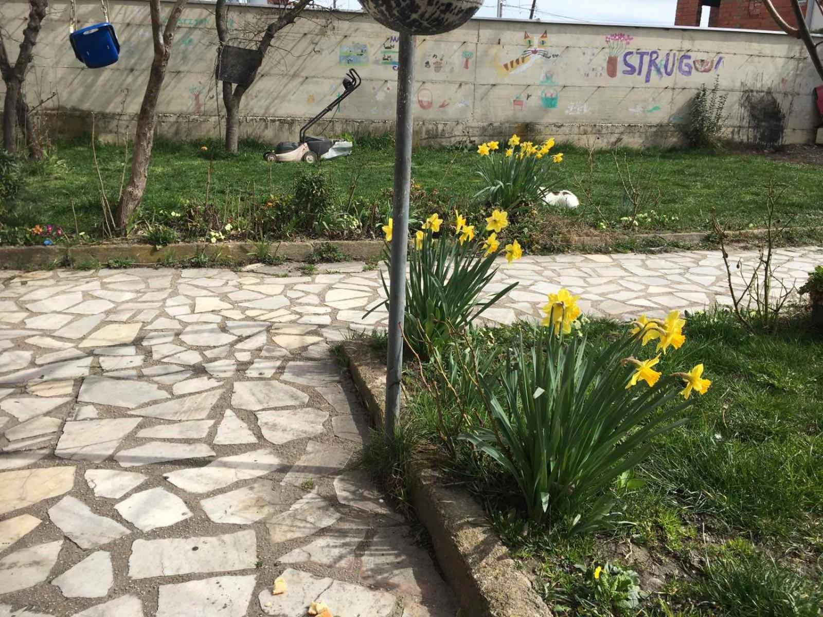 Apartman Struga
