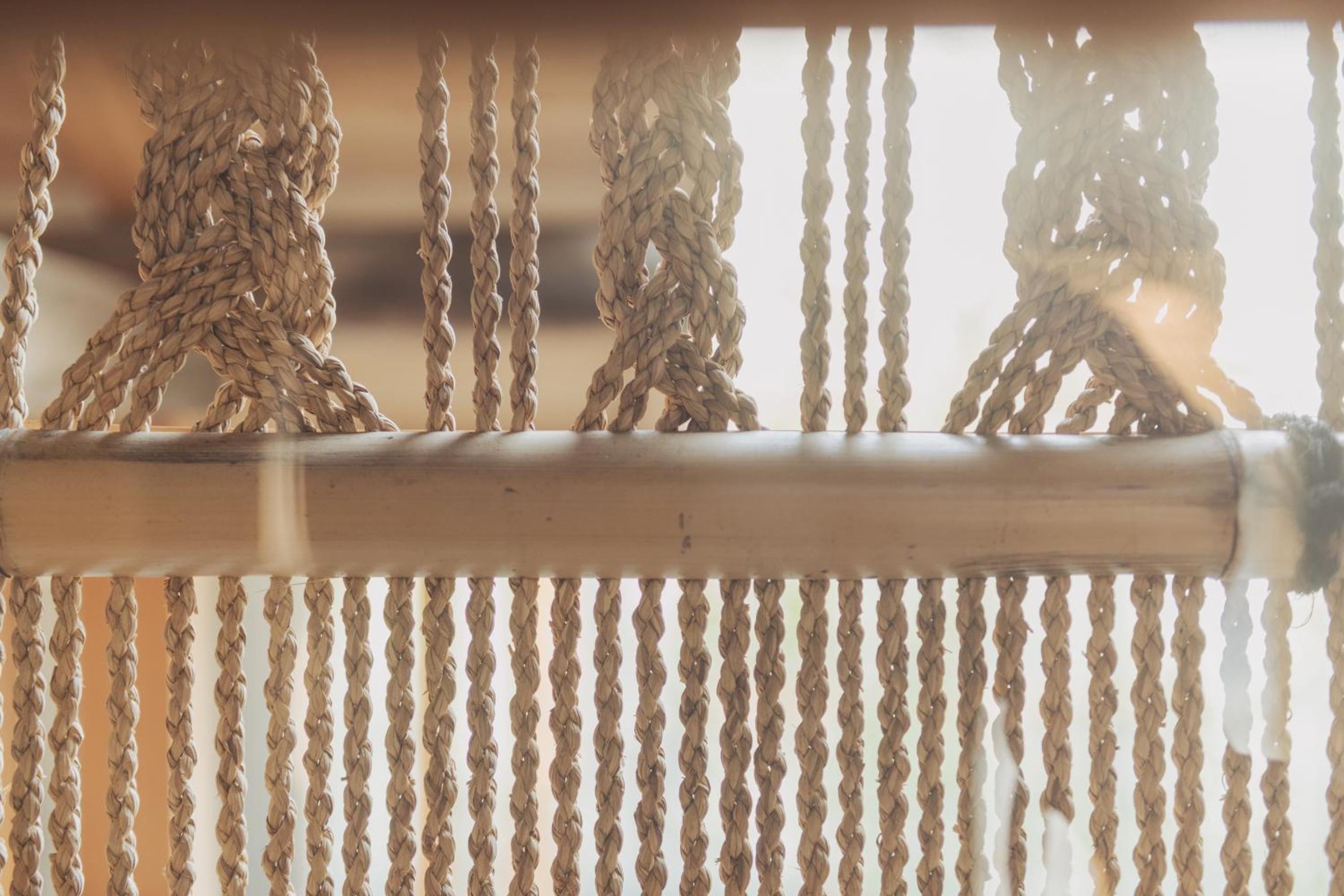 Photo 82