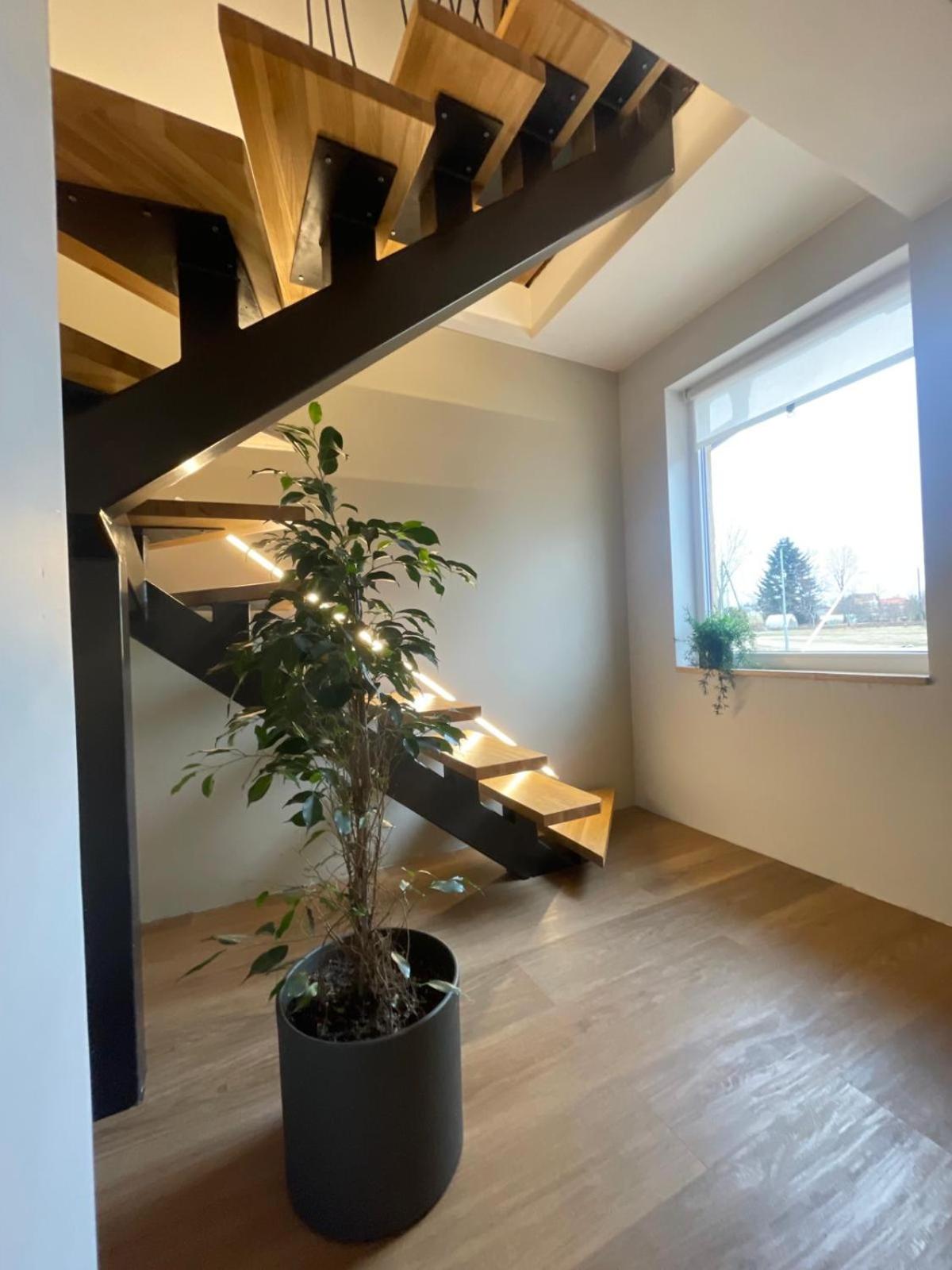 cozy family home in Gauja National Park