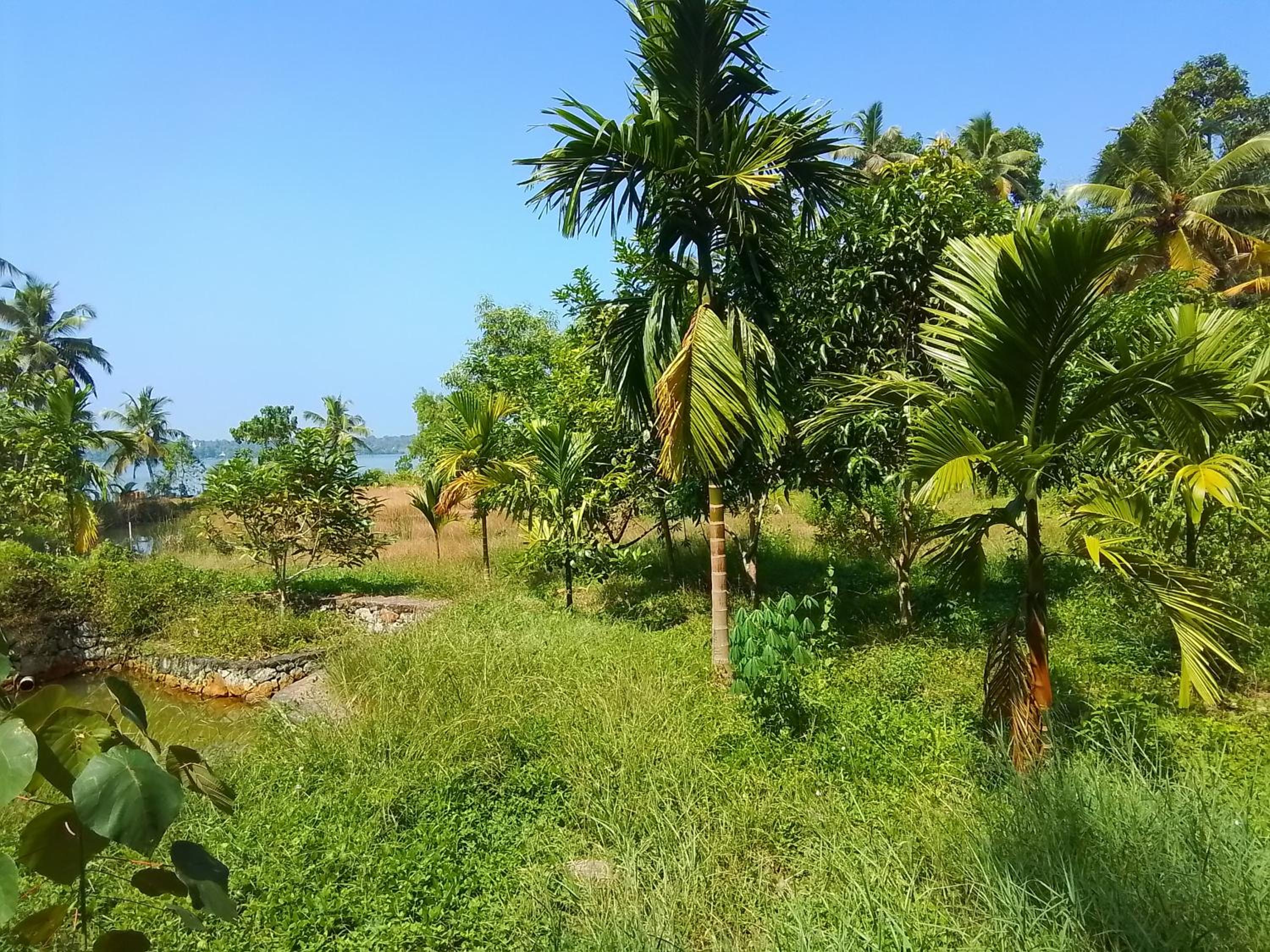JC Island Resort munroe view 2