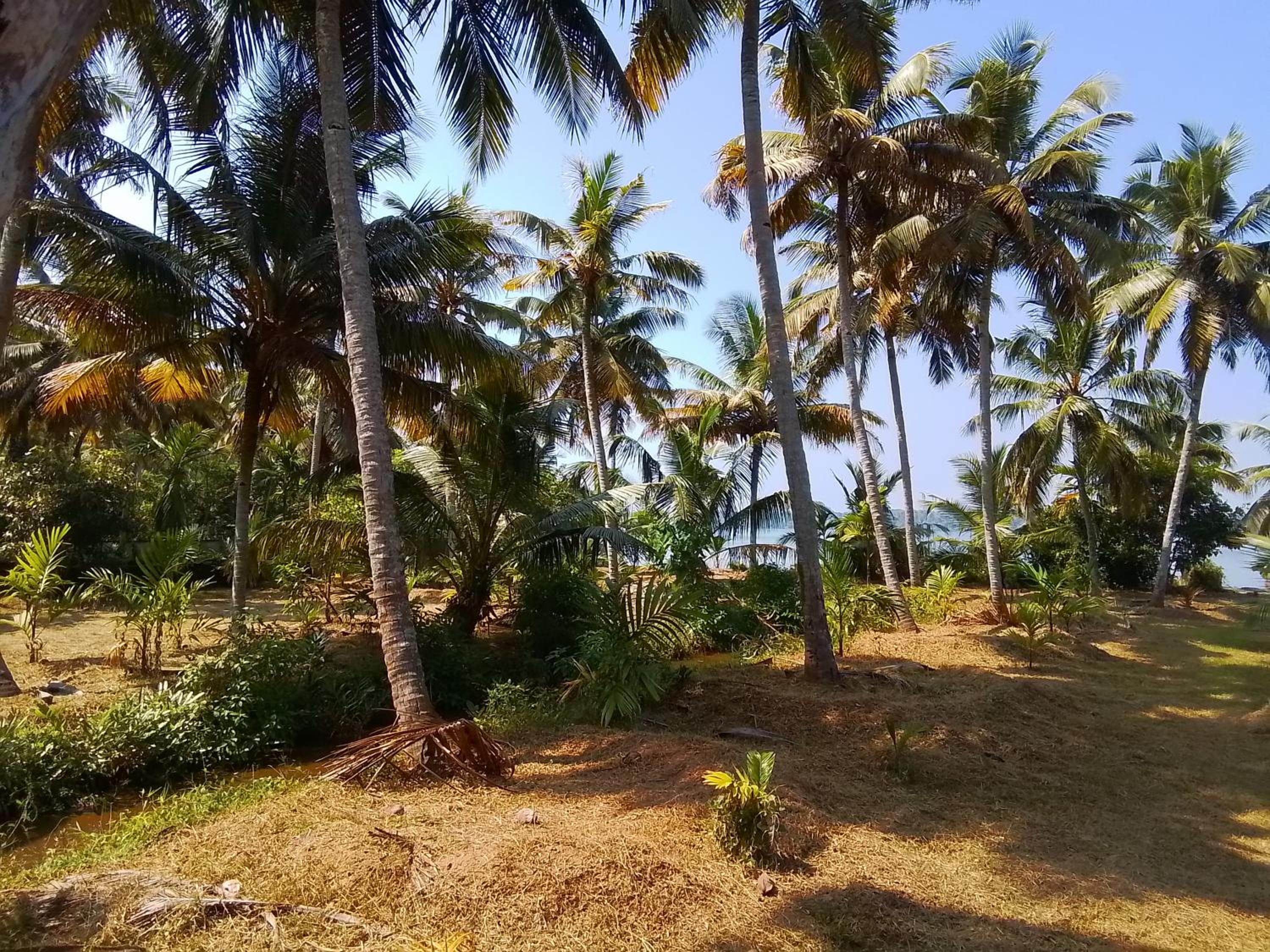 JC Island Resort munroe view 3