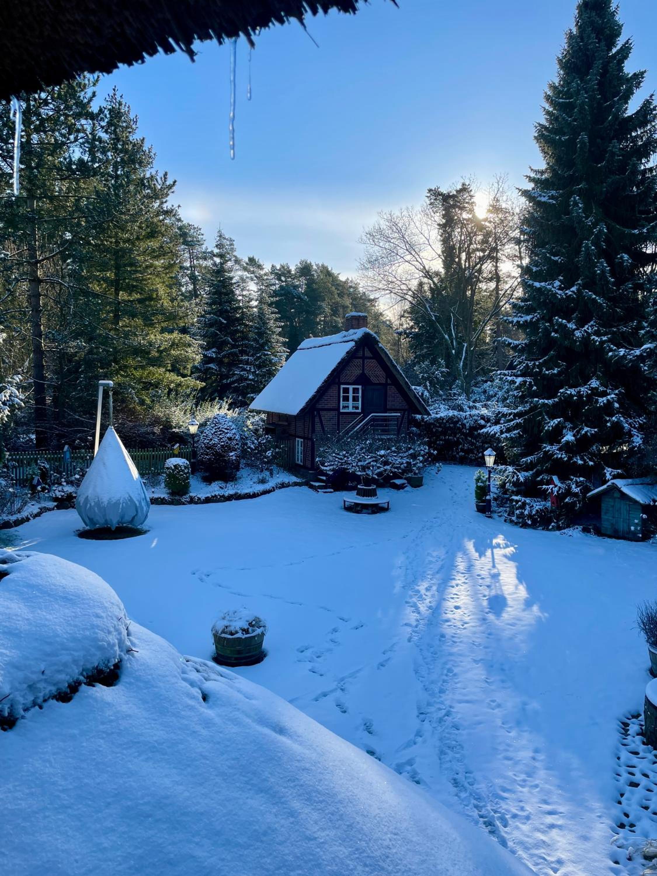 Ferienhaus unter Reet im Heidedorf Sankt Dionys bei Lüneburg