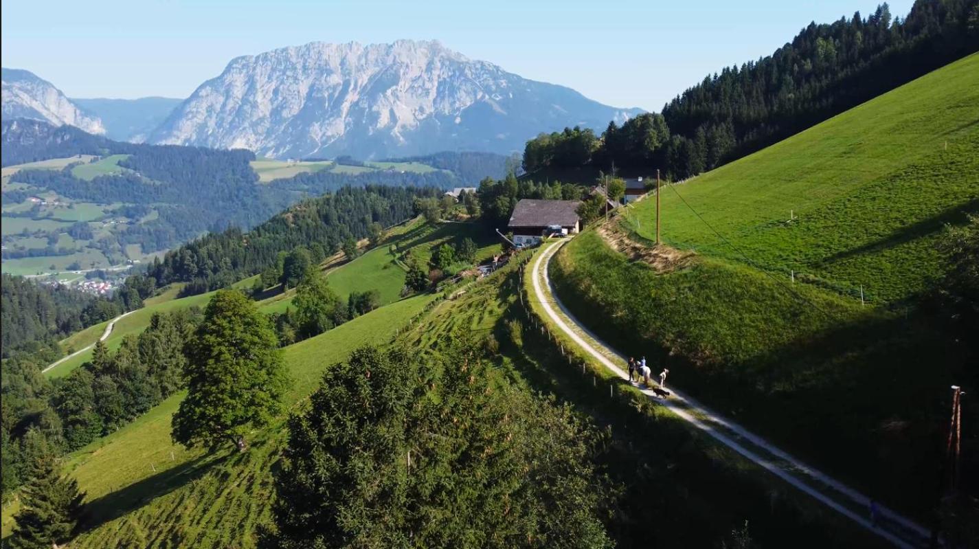 Chalet Leo