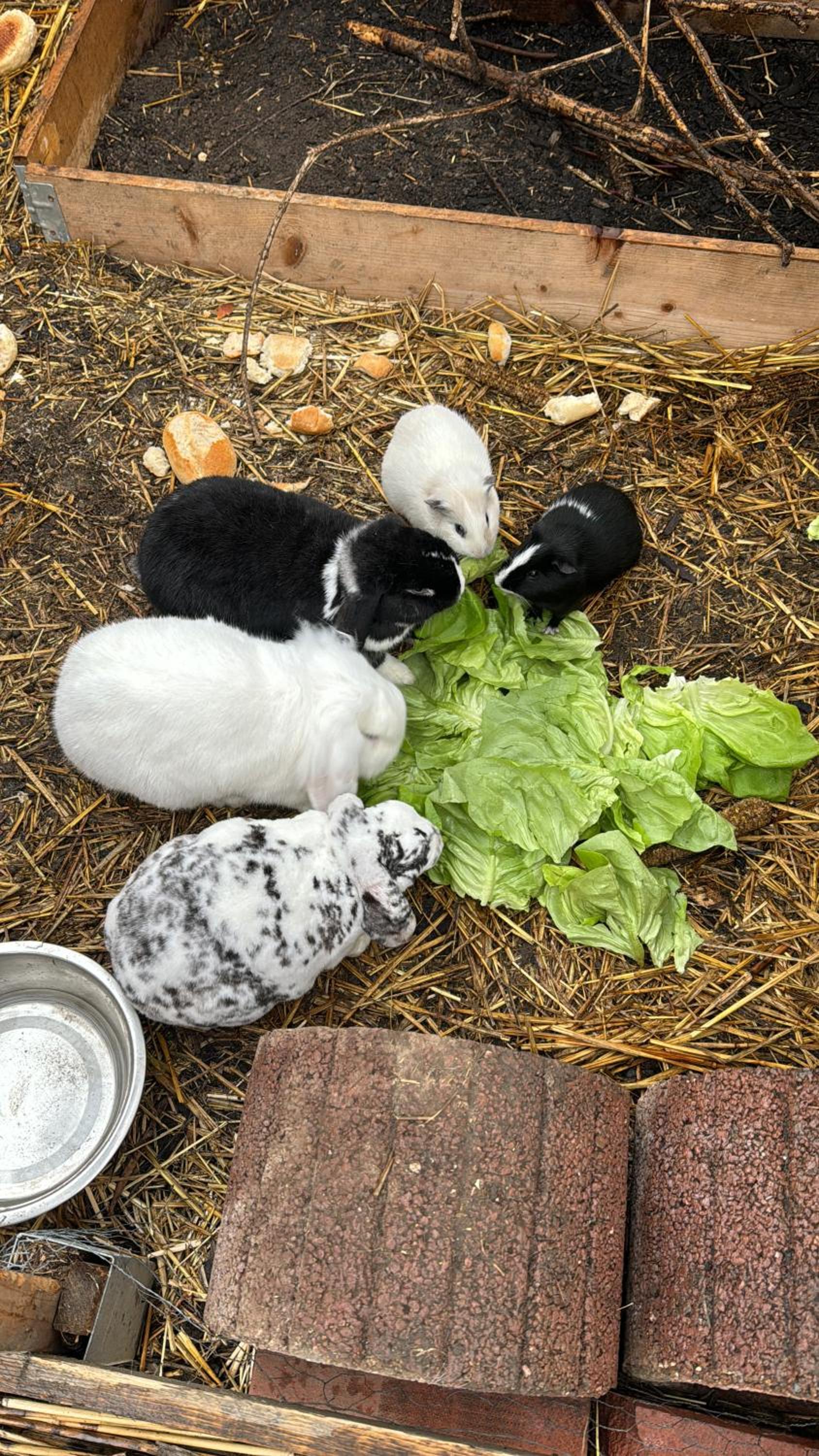 other