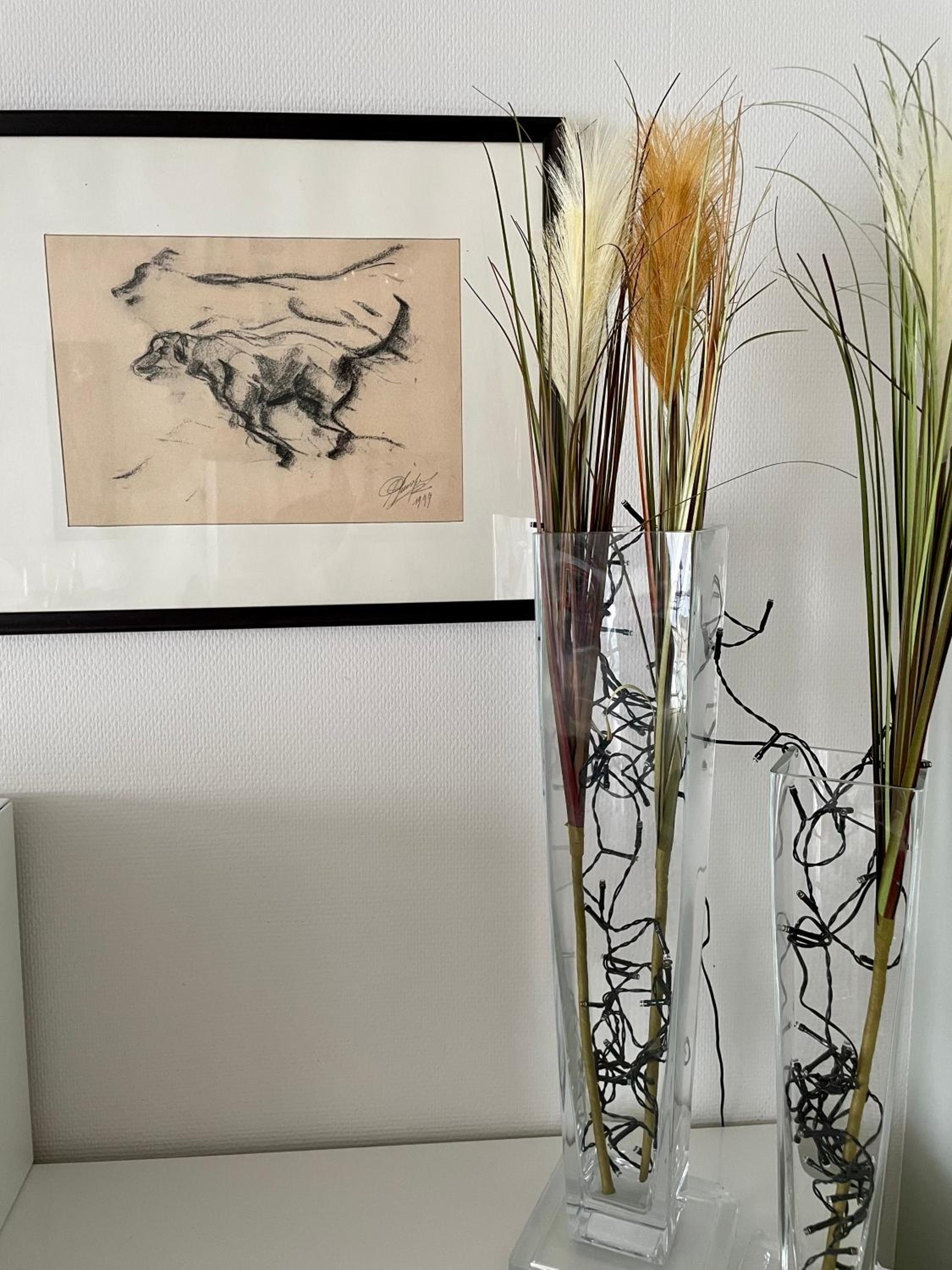 Appartement Cilou view 5