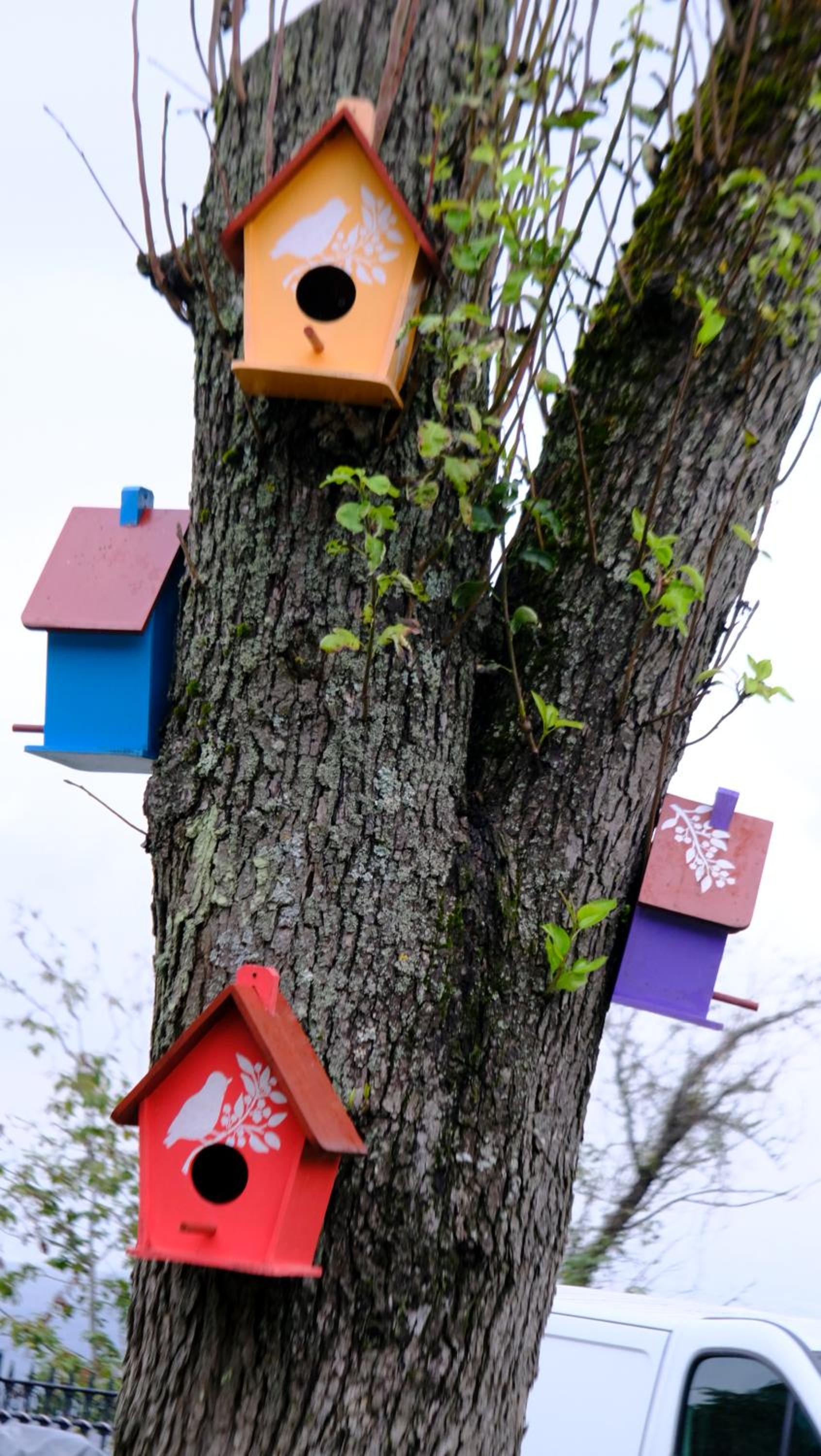 HAT NATUREL RESORT Sapanca