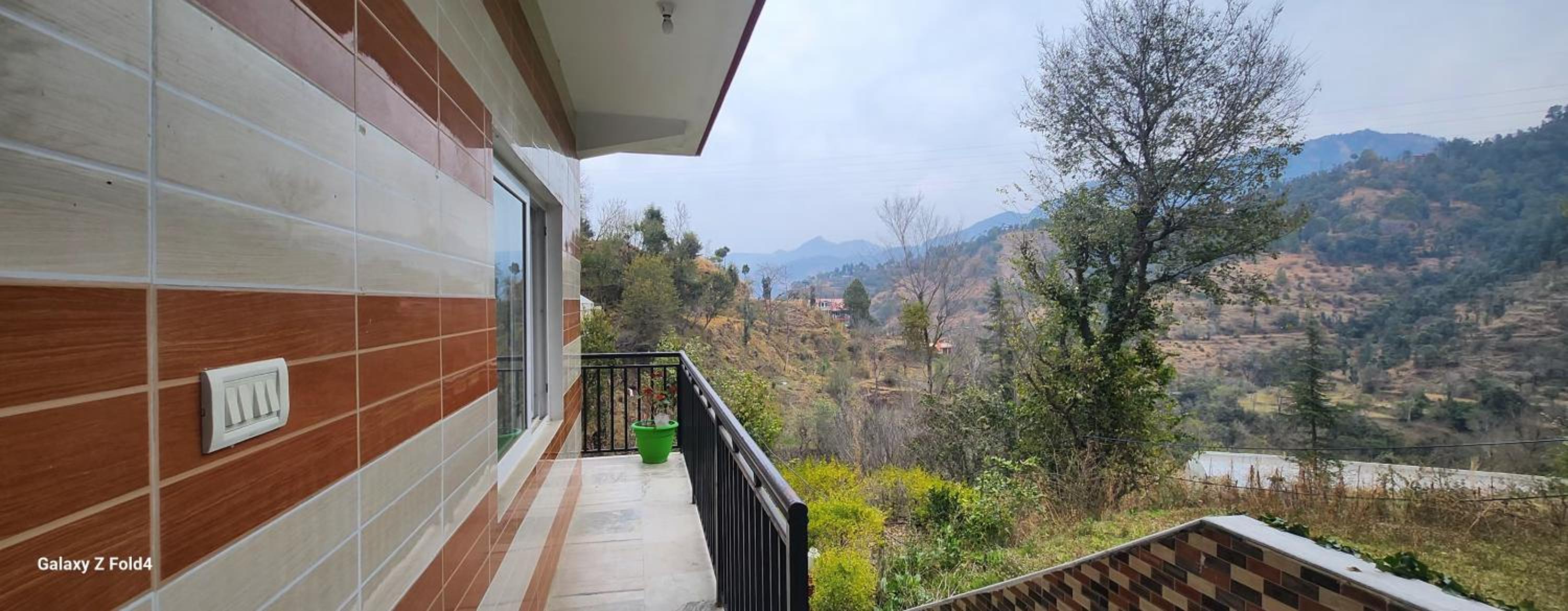 shadow homestay