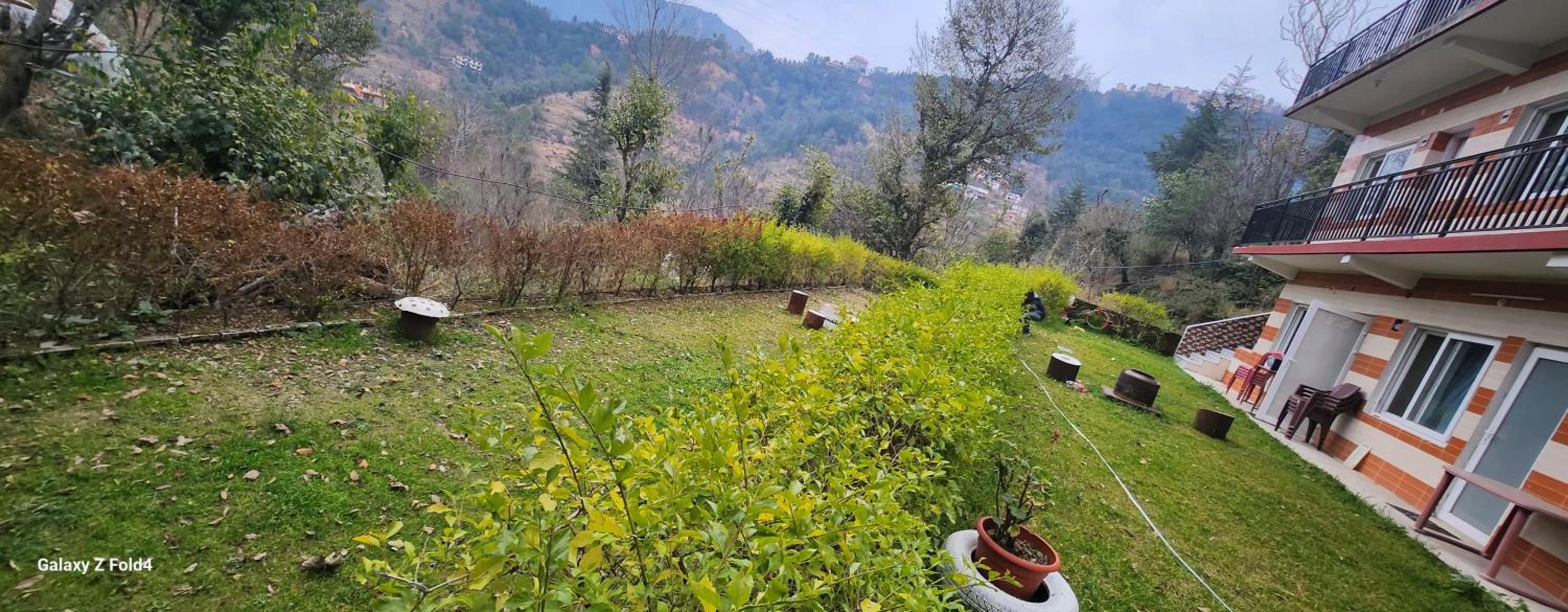 shadow homestay