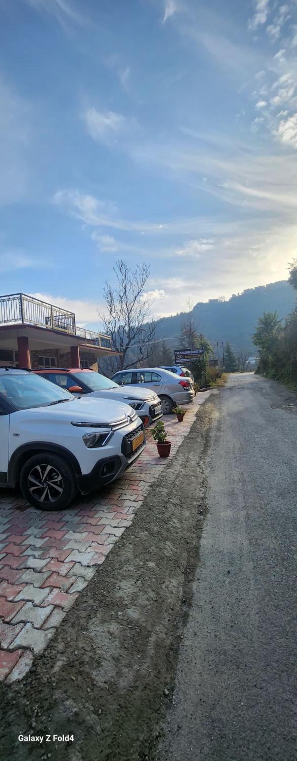 shadow homestay