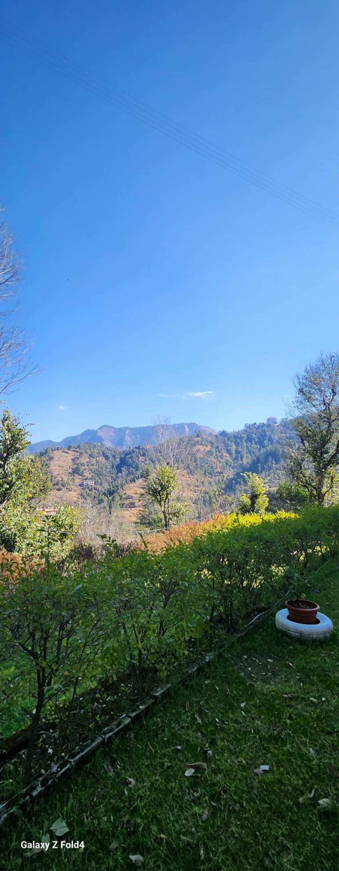 shadow homestay