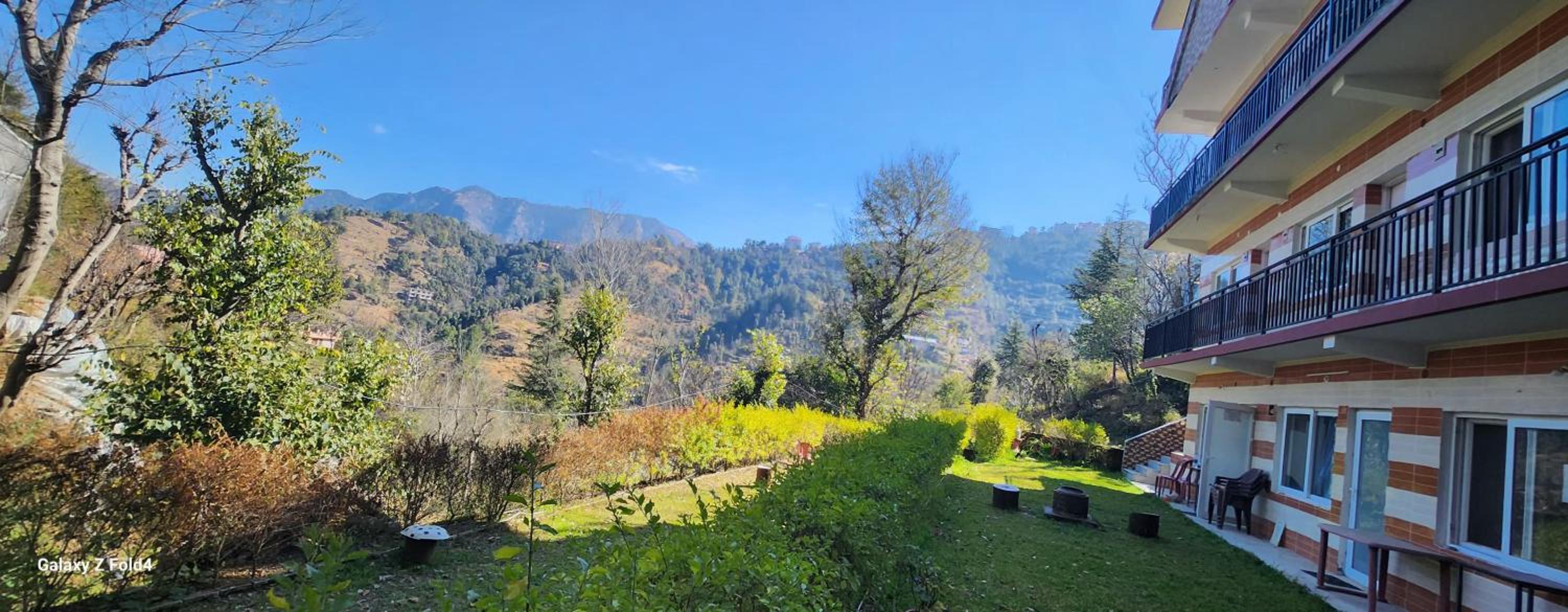 shadow homestay