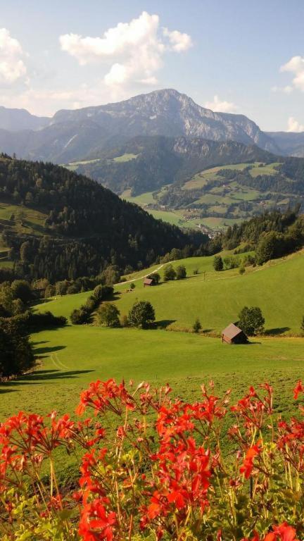 Chalet Leo