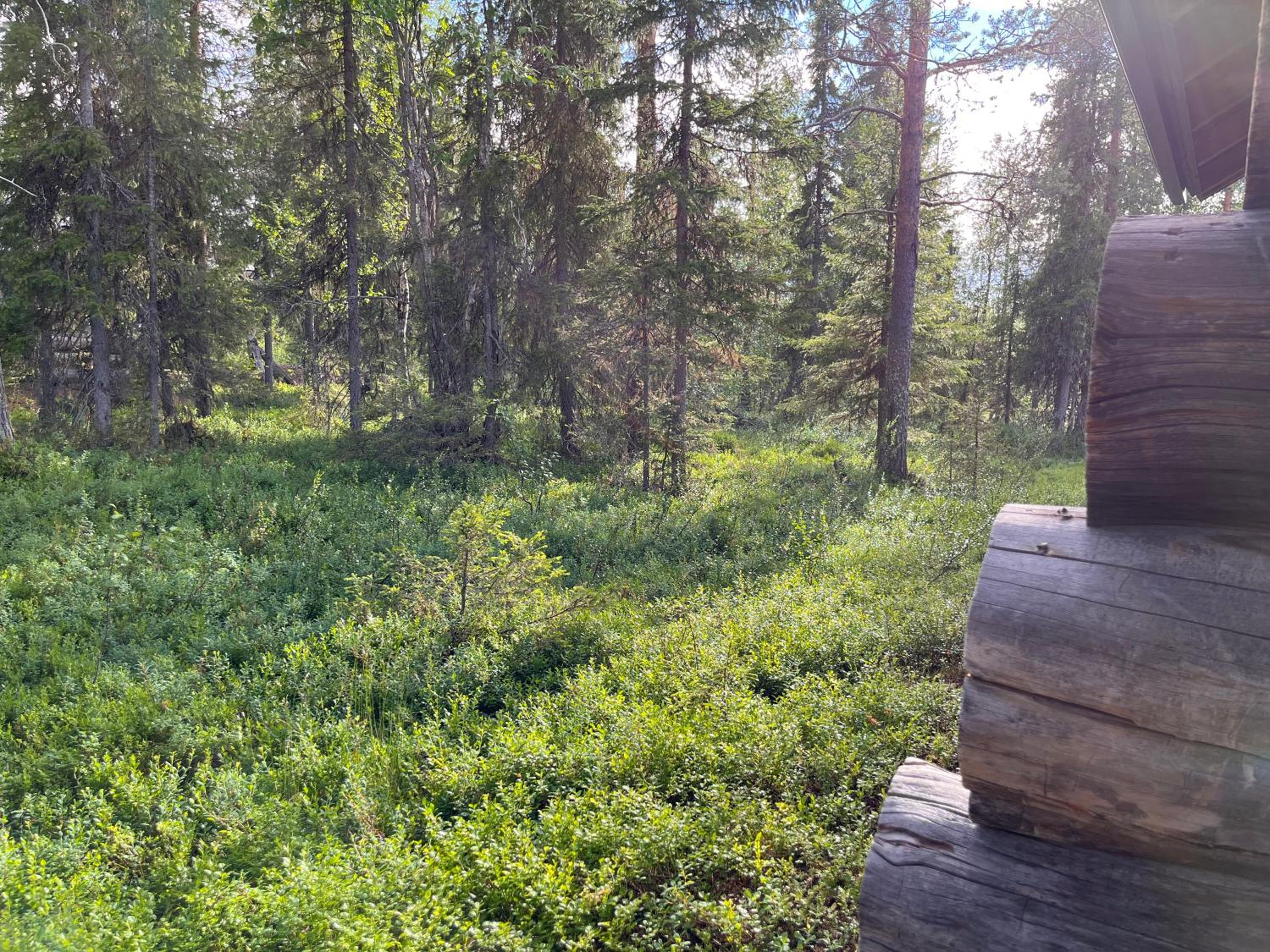 Kelomaja Ylläs view 3