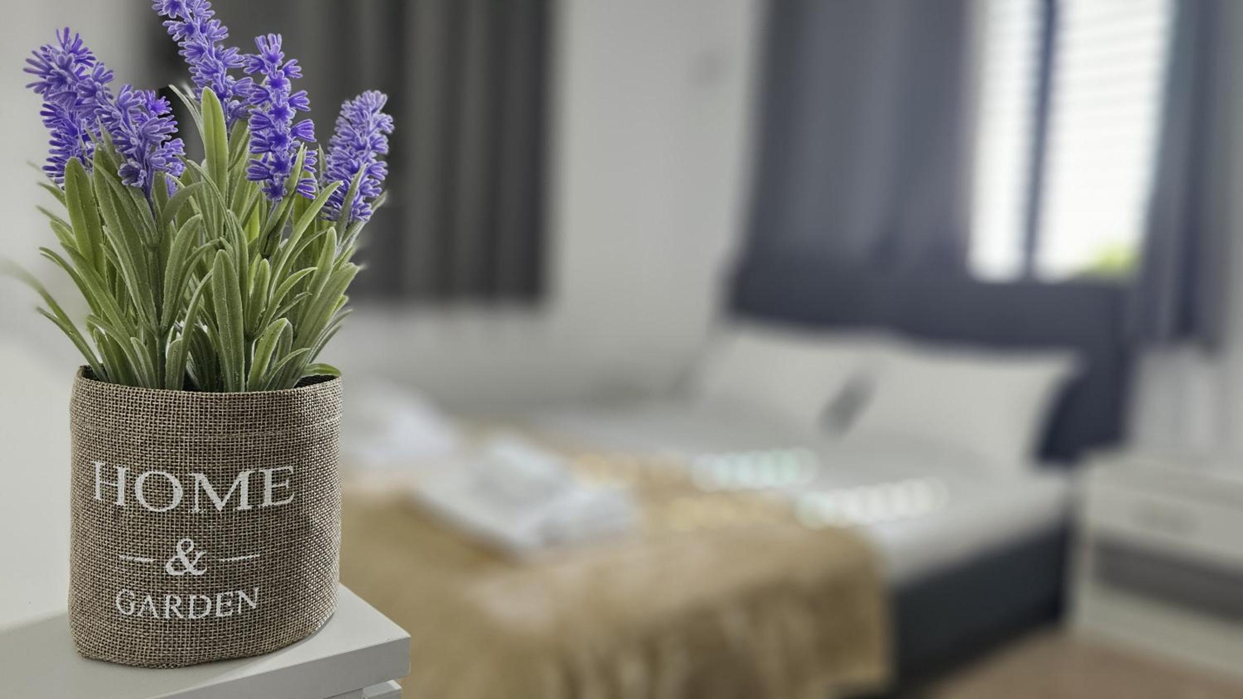 STAY Tranquil Haven