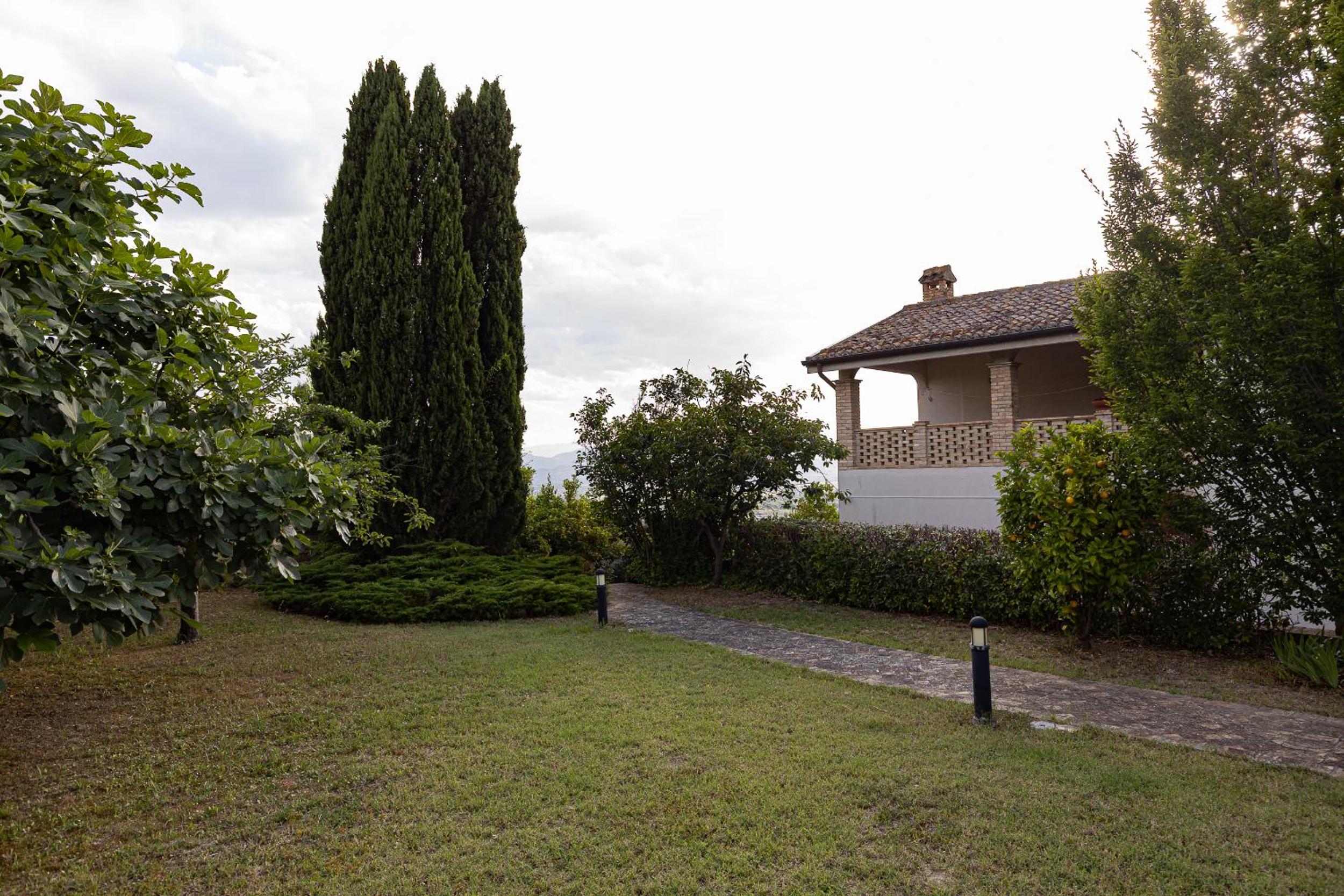 Photo 44