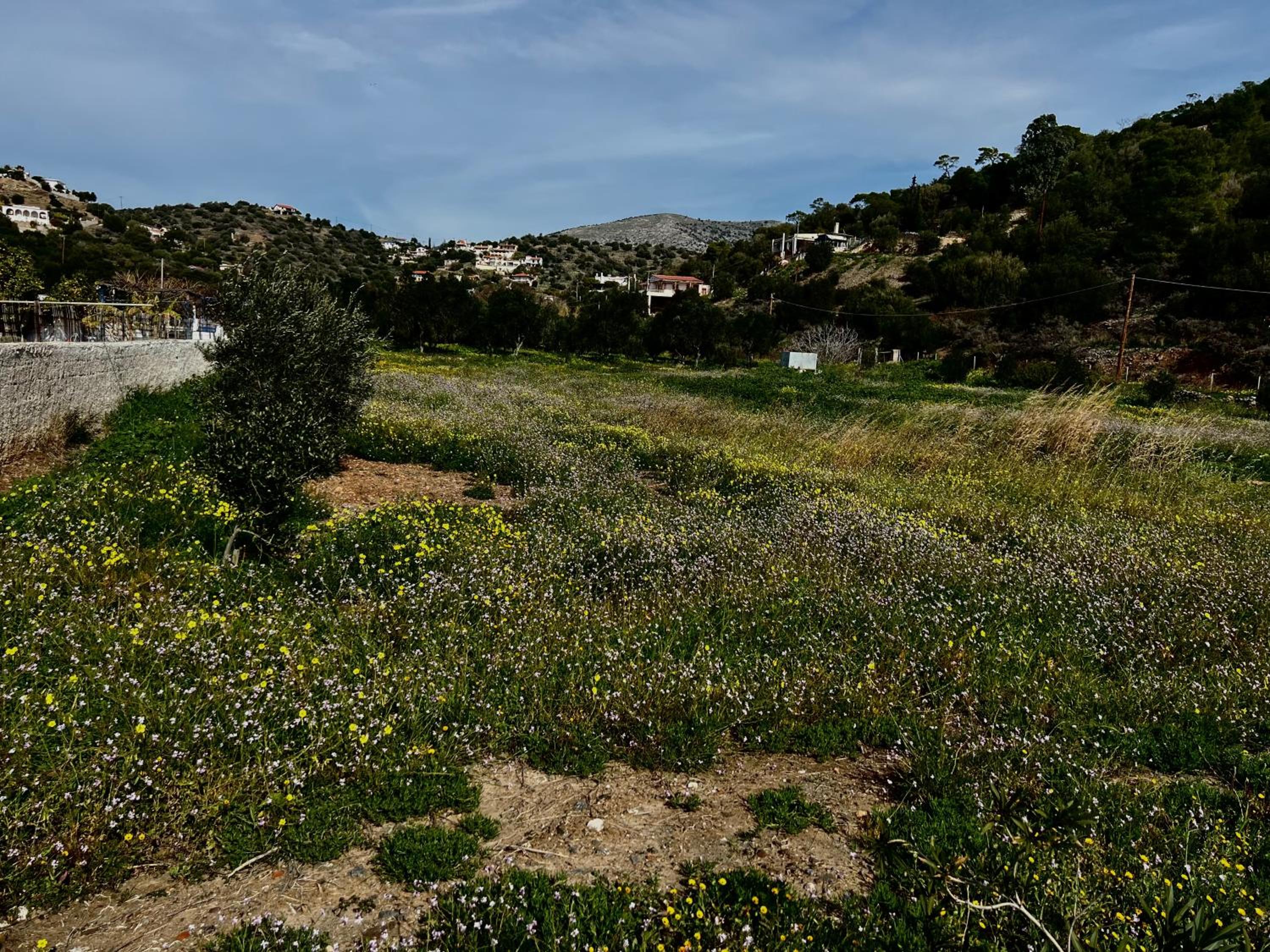 ALTAVILLAS maisonettes