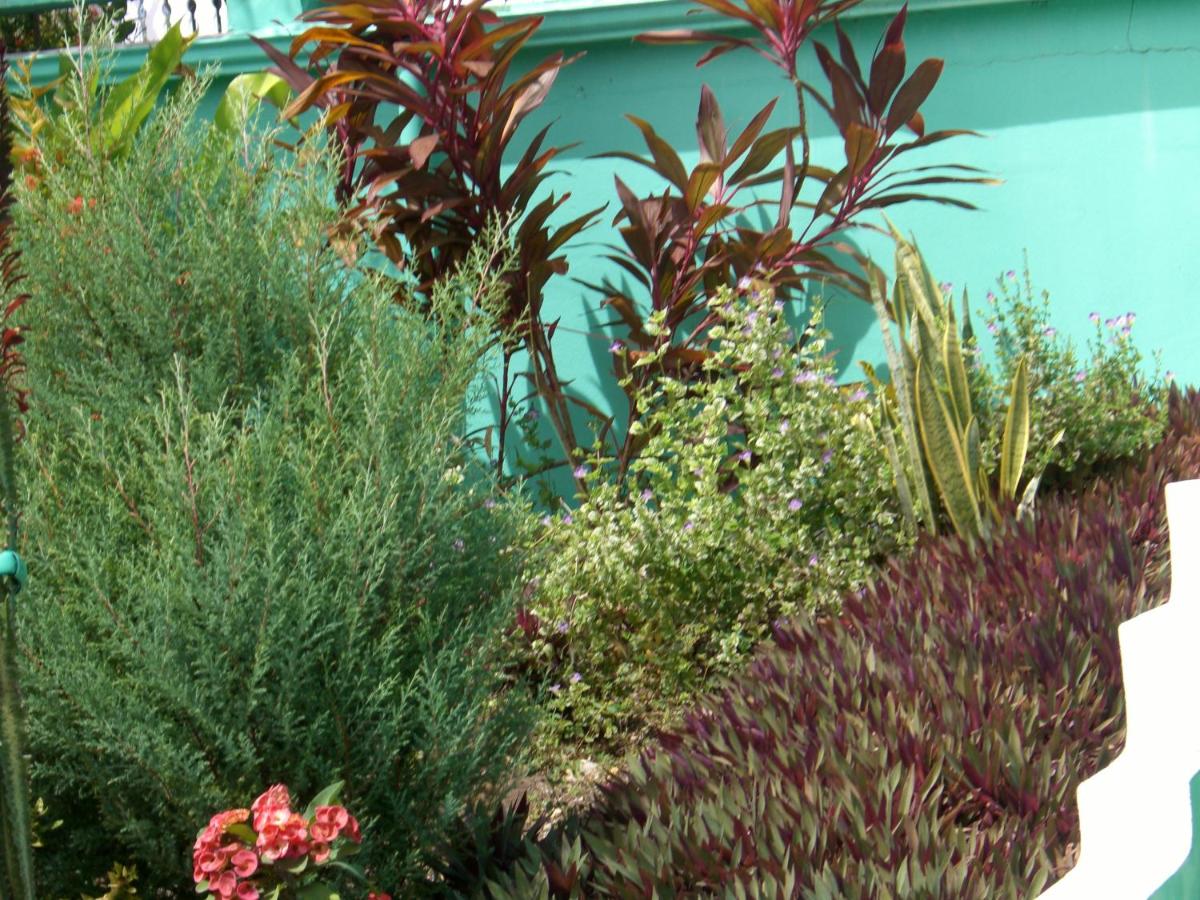 Photo 25