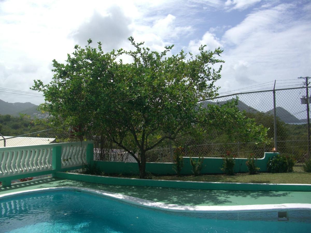 Photo 24