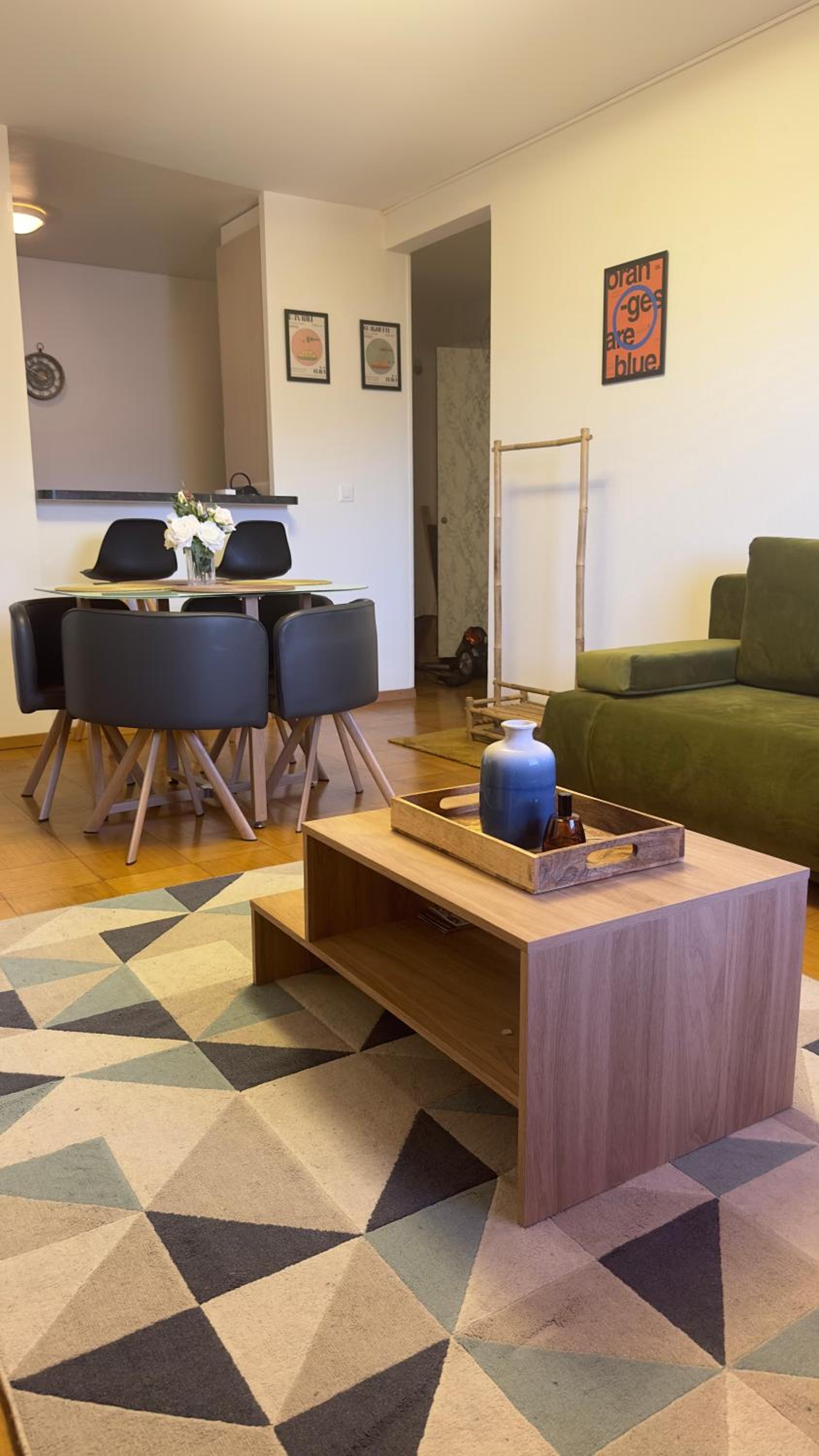 Appartement vue lac Montreux