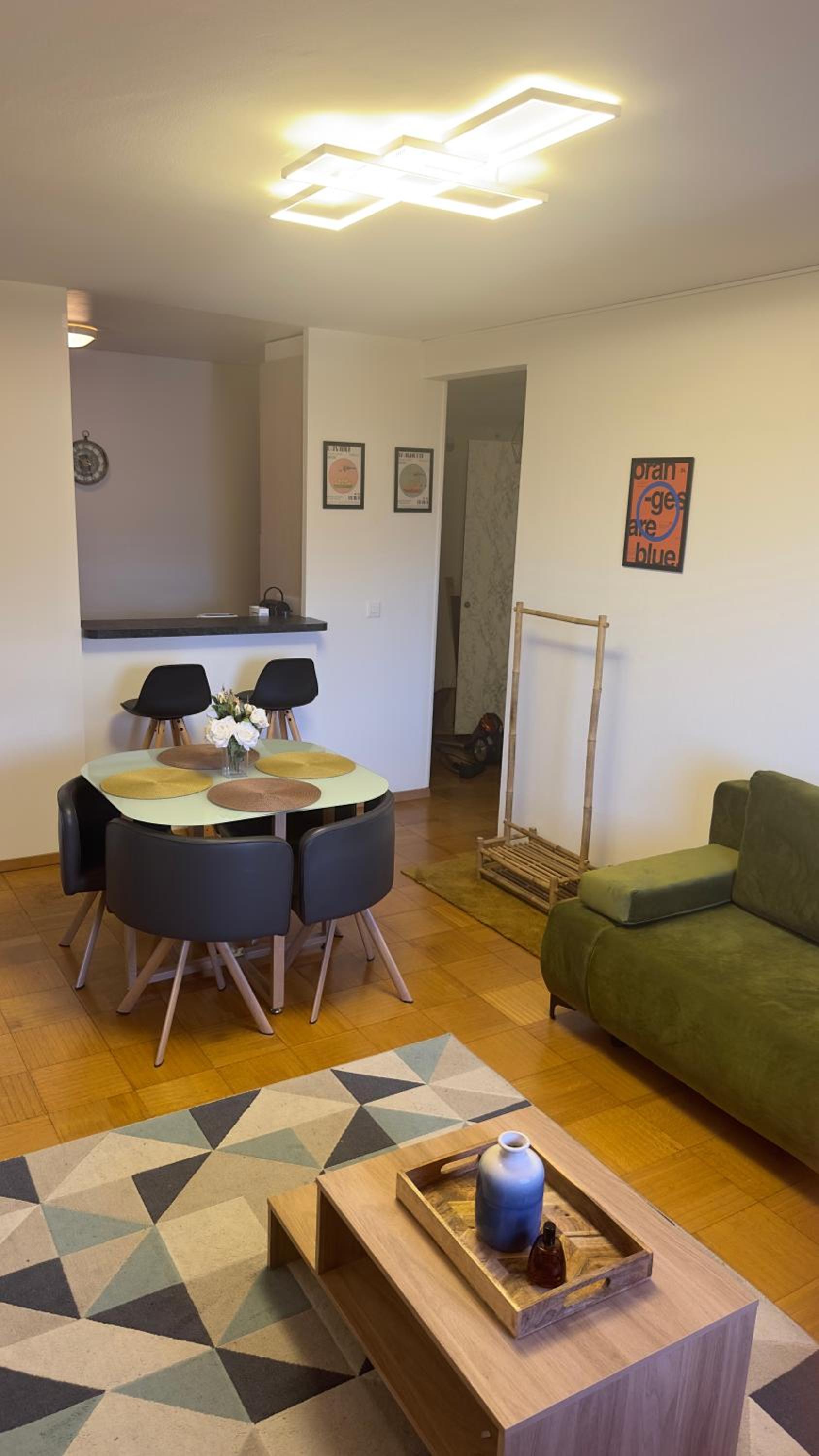 Appartement vue lac Montreux