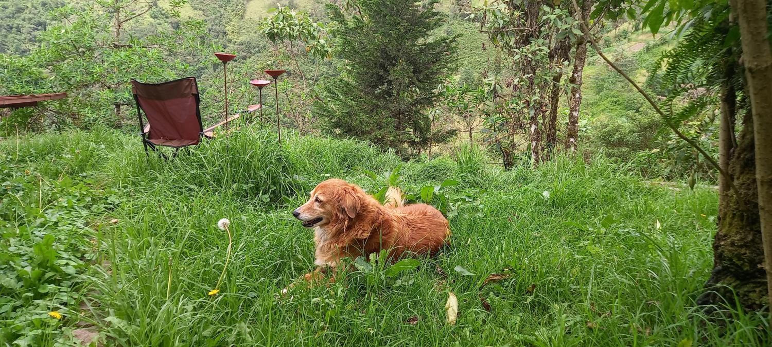 Photo 85