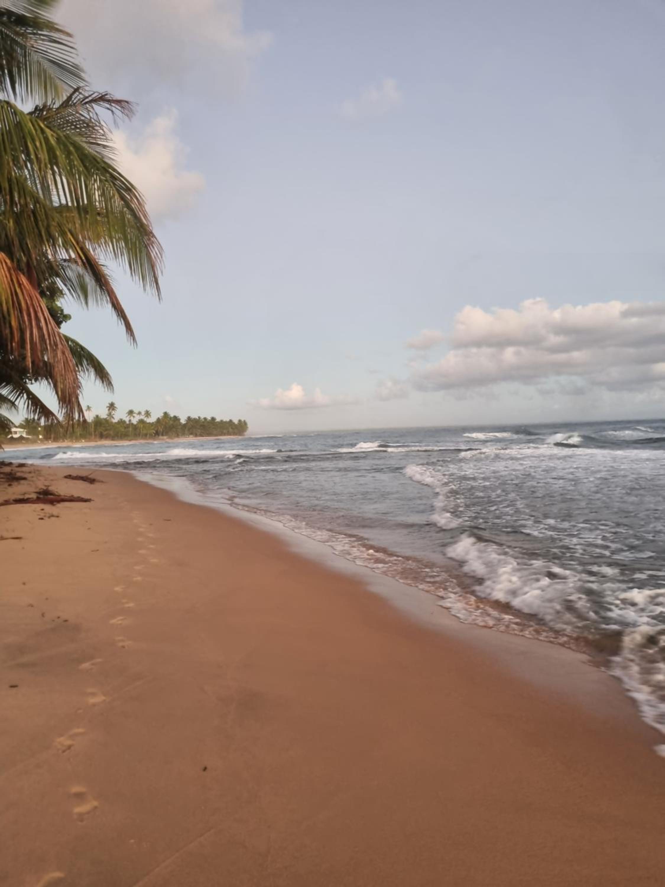 Casa Palmar