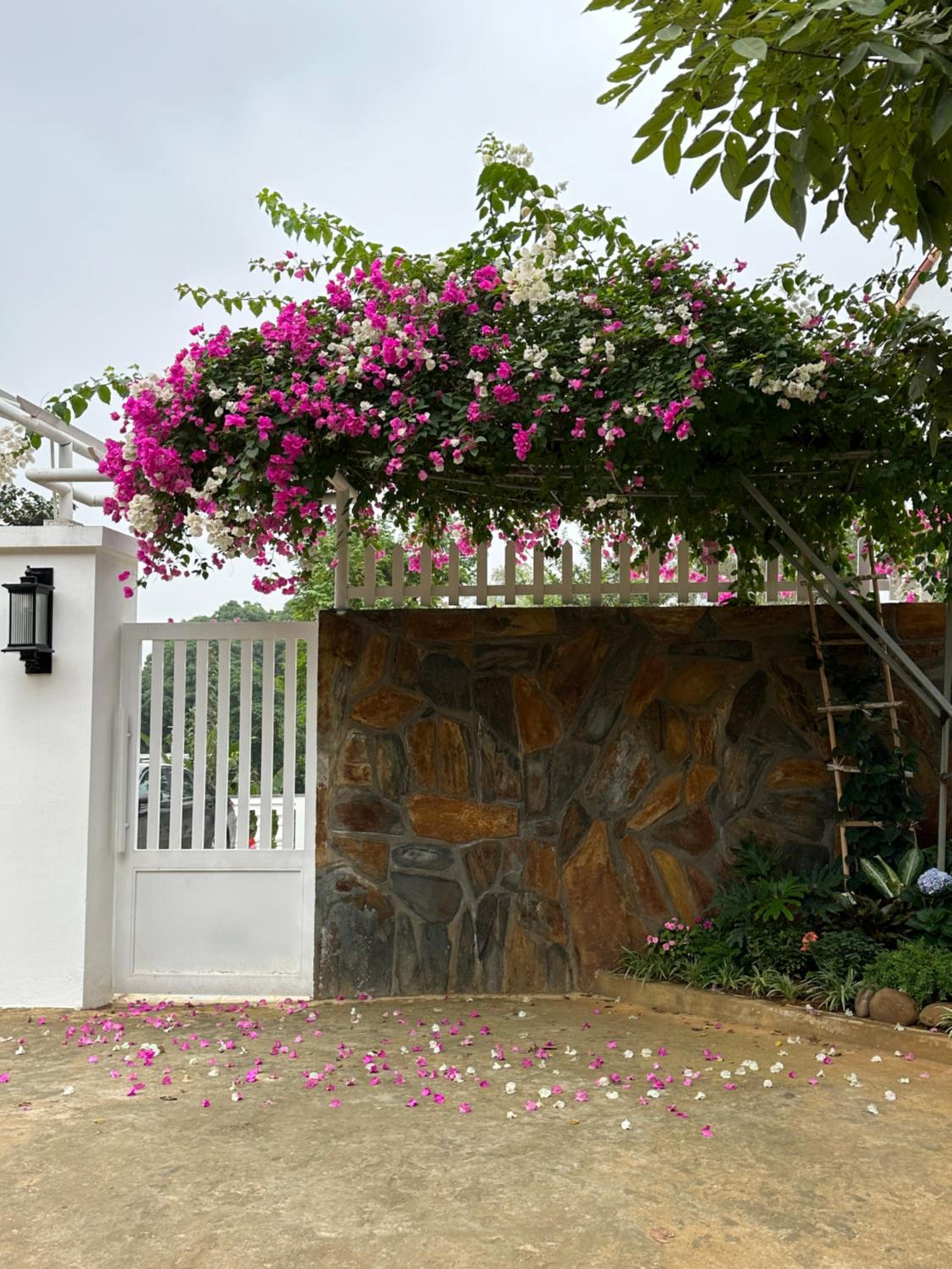 La foret Vân Hoà villa 2