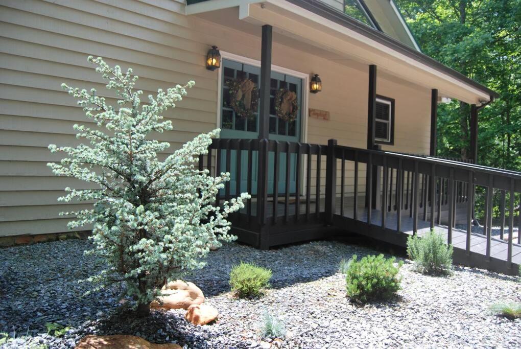 The Gingerbread River House: Cartecay River view 5