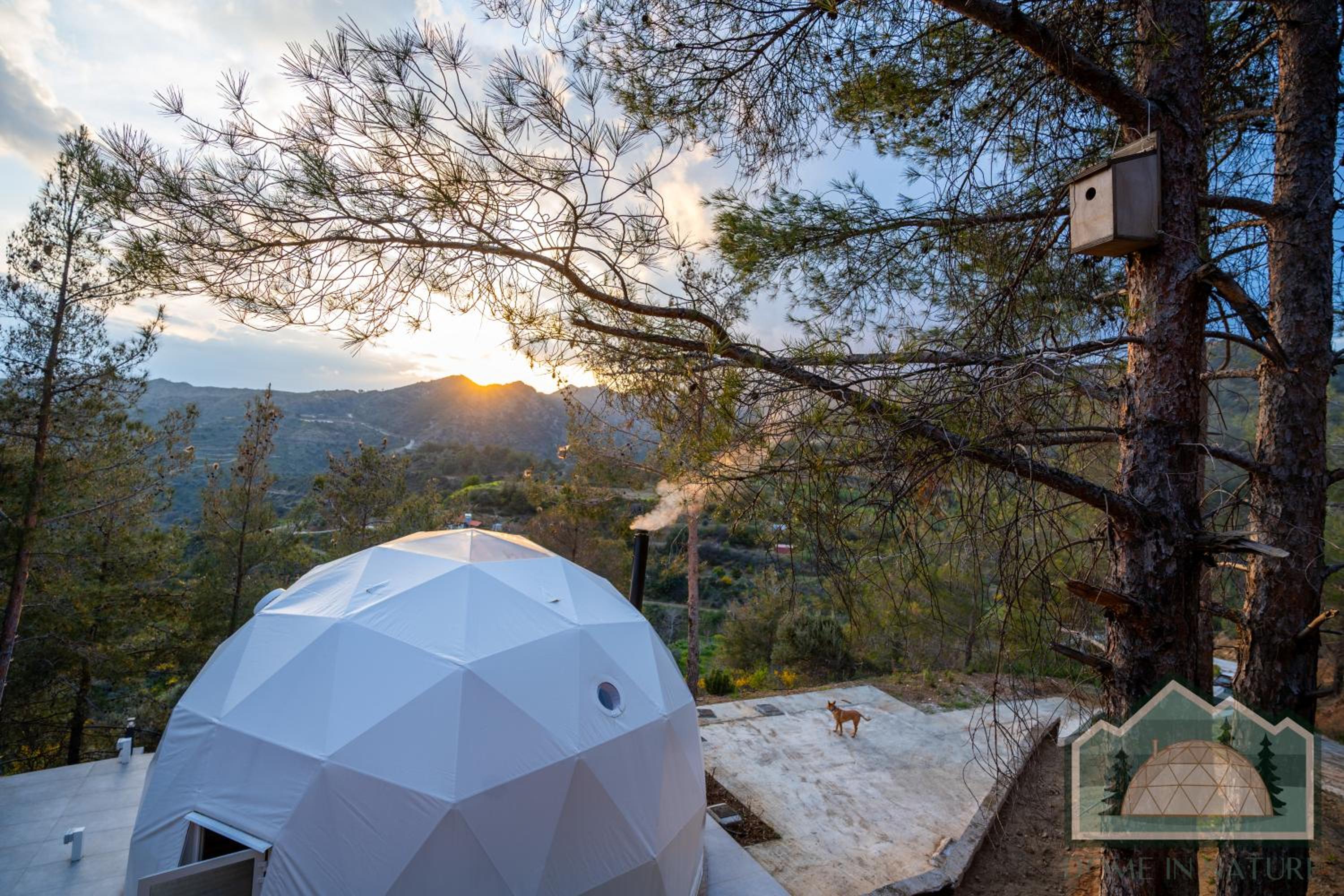 Dome in Nature