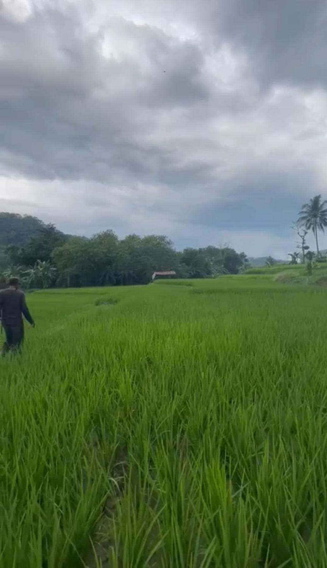 Villa Mang Oyan