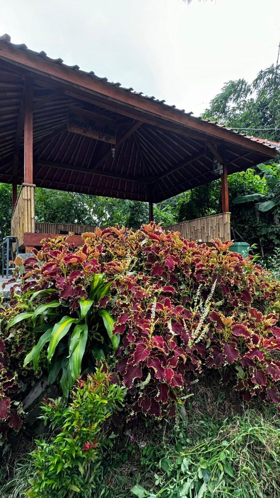 Villa Mang Oyan