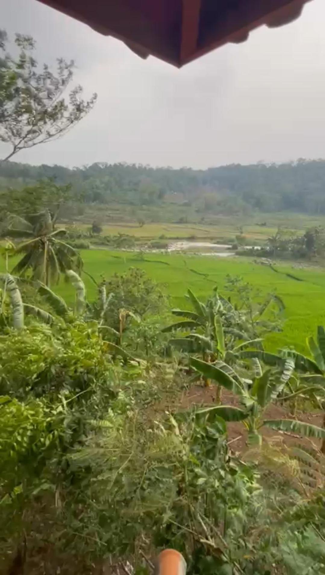 Villa Mang Oyan