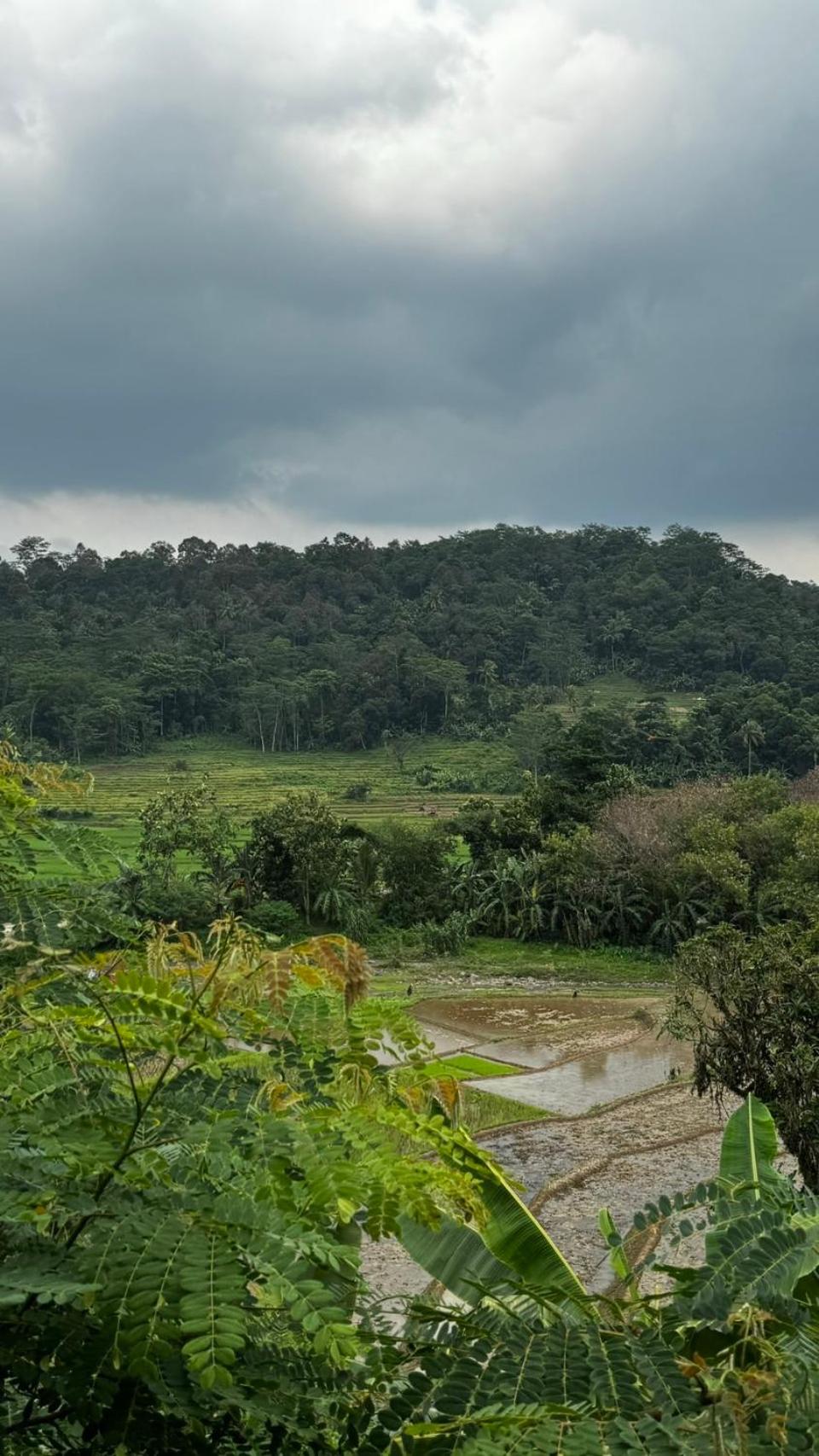Villa Mang Oyan