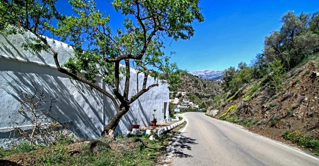 Finca el Almendro Archez