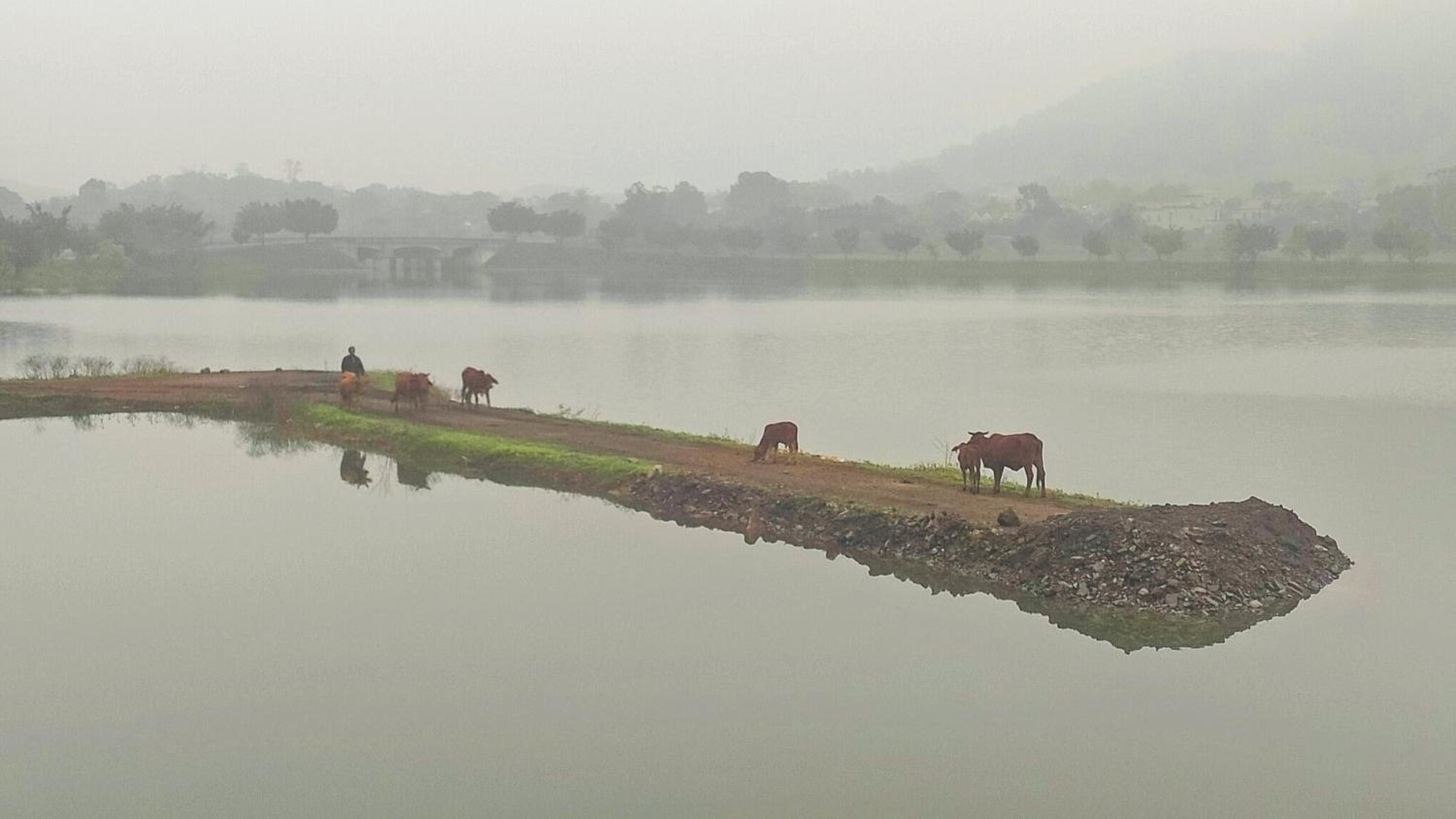 Mai Home Ninh Bình view 2